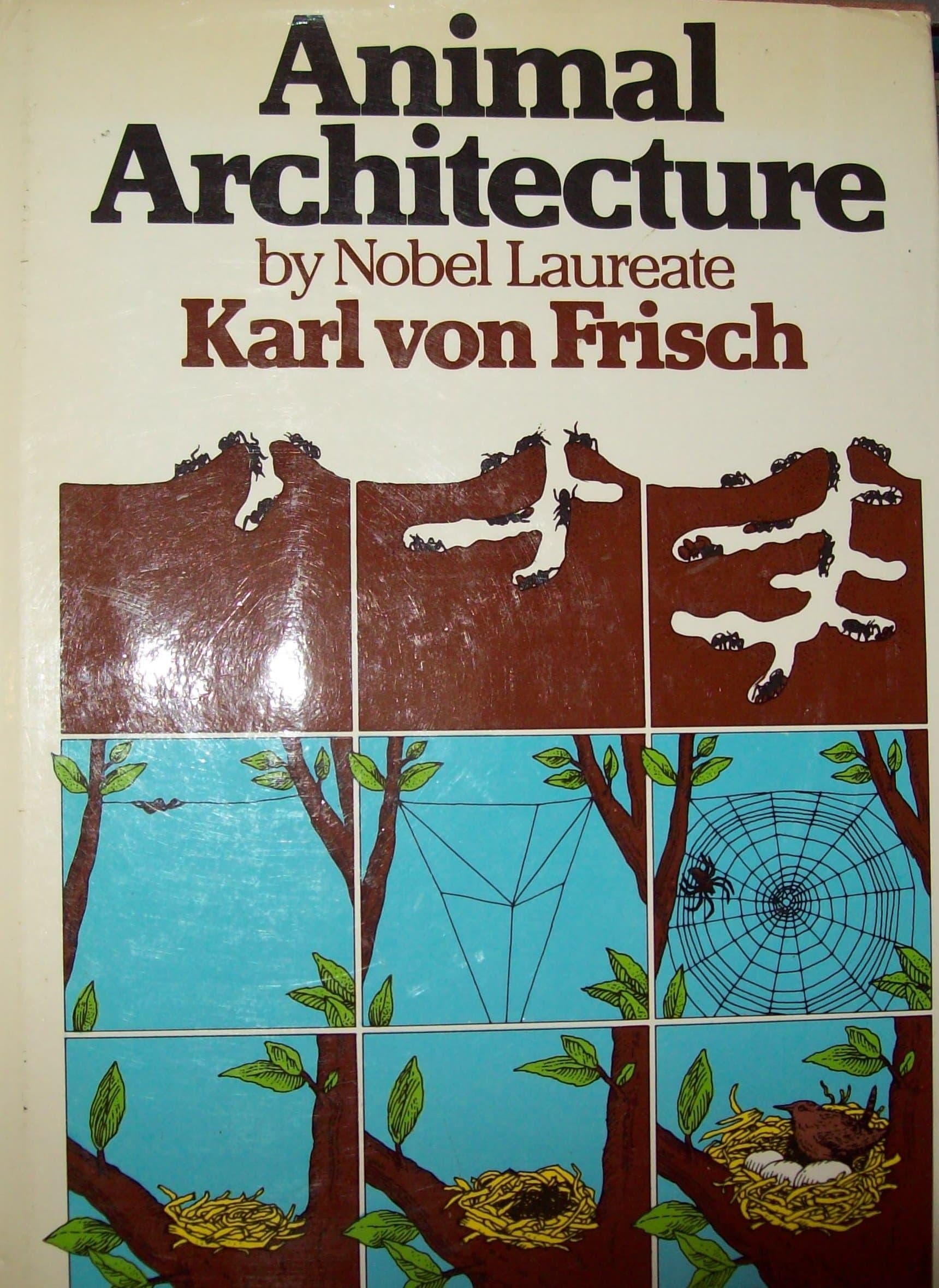 Animal Architecture By Nobel Laureate [Hardcover] Karl Von Frisch by null