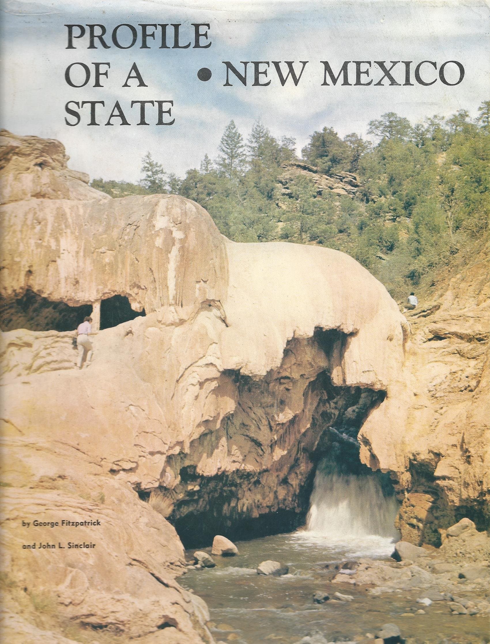 Profile of a State--New Mexico, Fitzpatrick, George by null