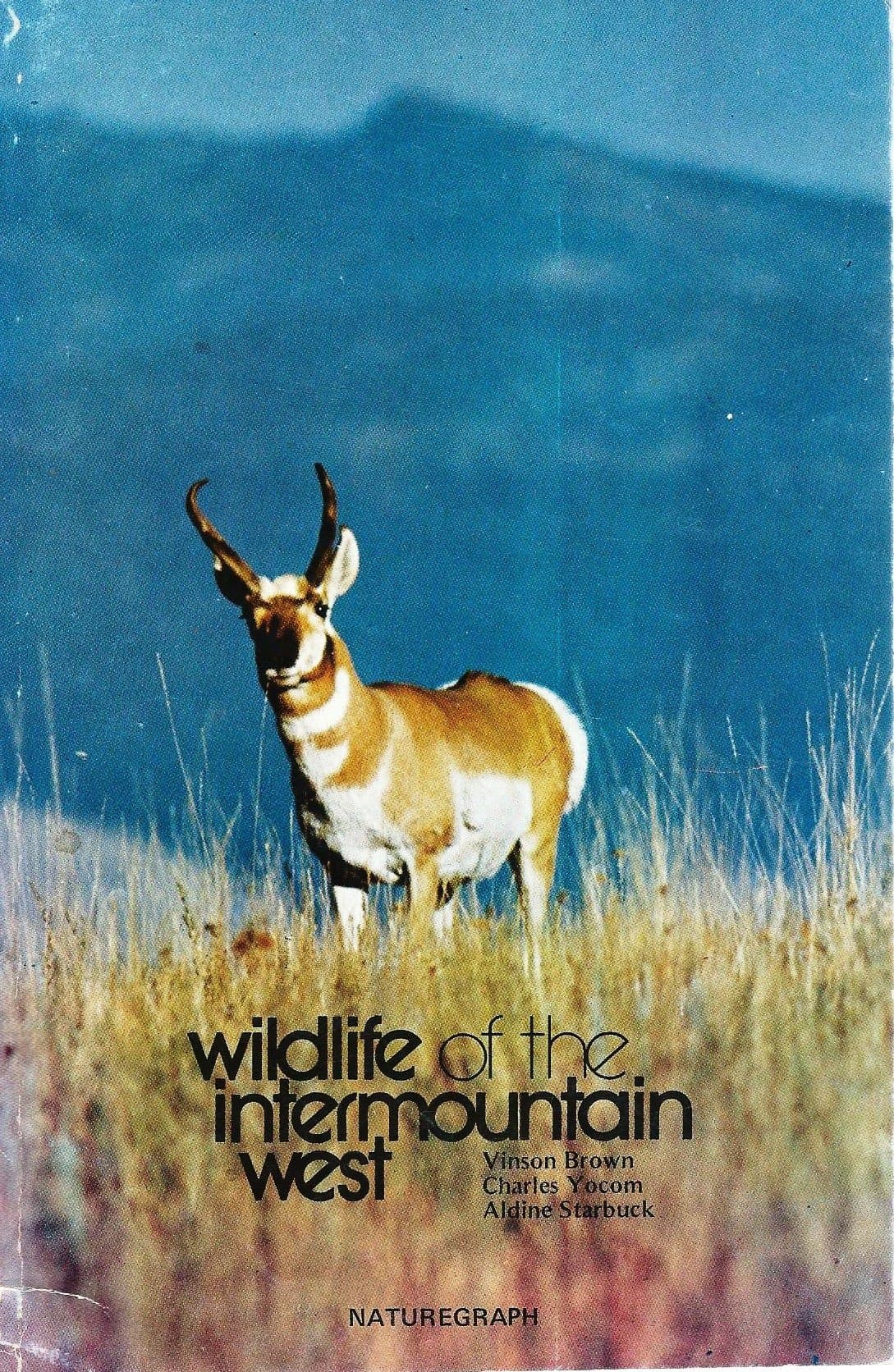 Wildlife of the Intermountain West Brown, Vinson by null