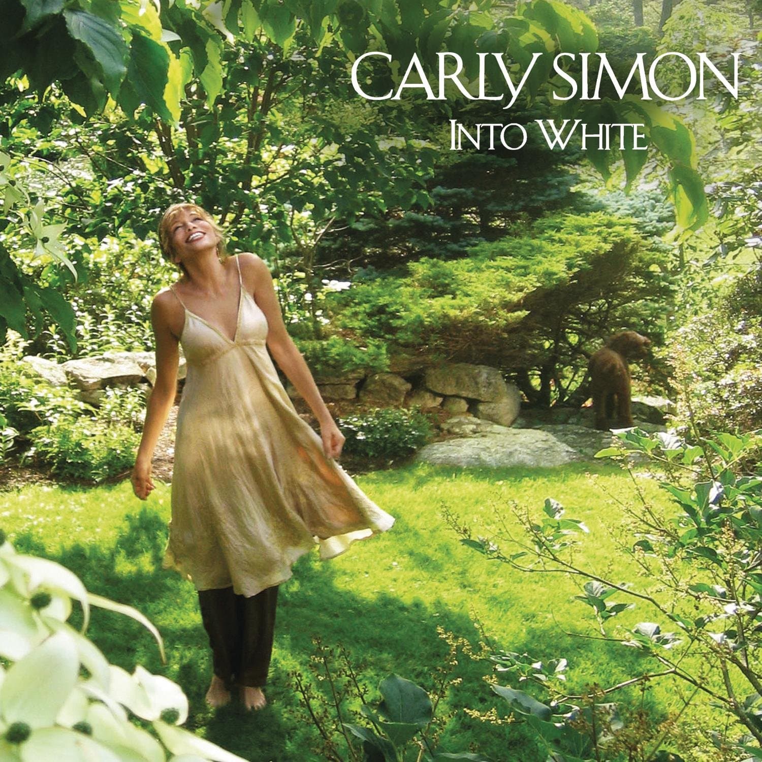 Into White [Audio CD] Carly Simon by null