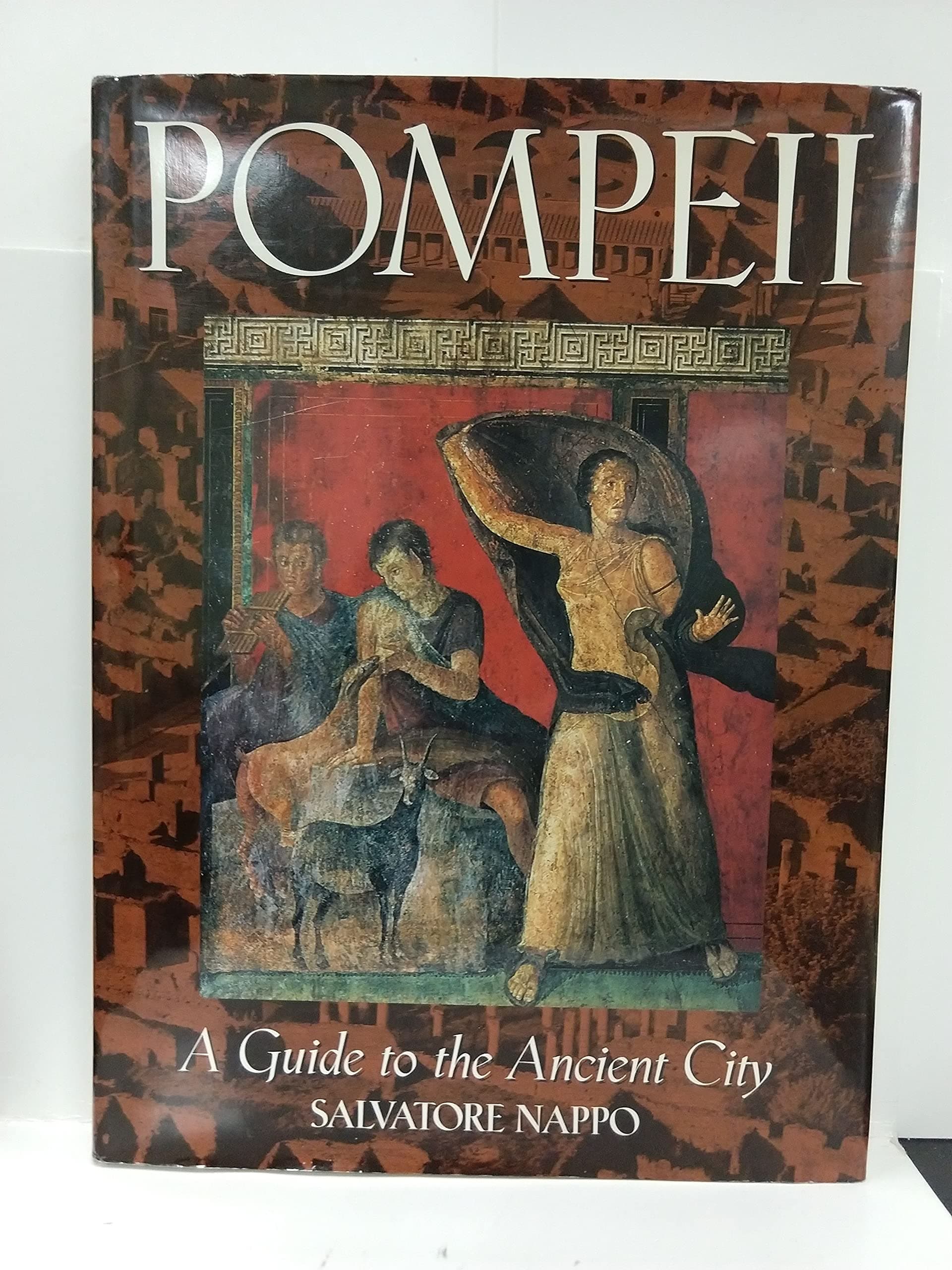 Pompeii A Guide to the Ancient City by Salvatore Nappo