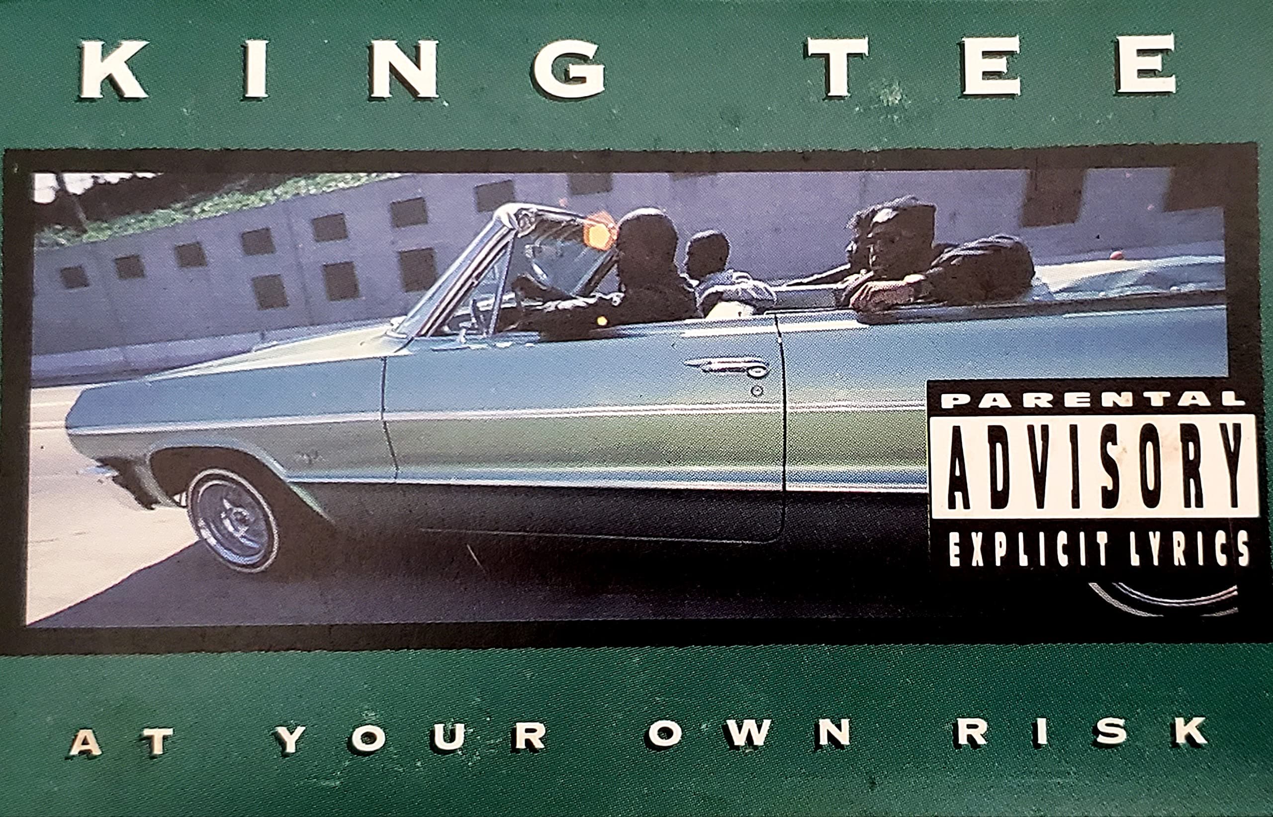 At Your Own Risk [Audio Cassette] by null