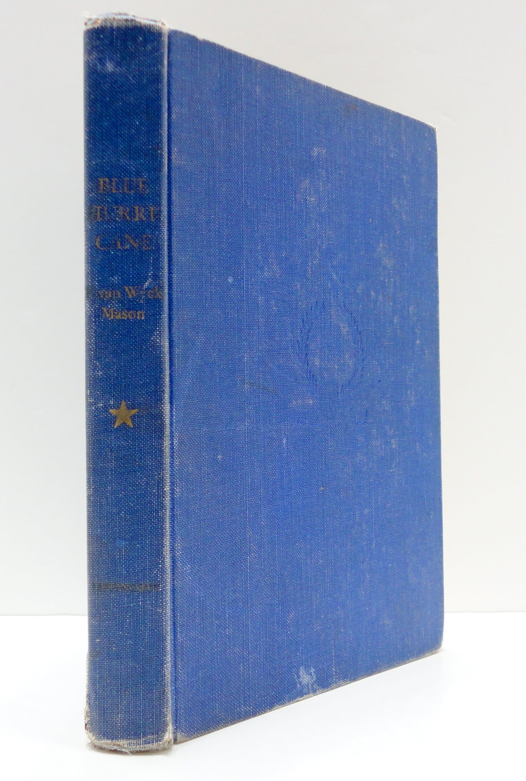 Blue Hurricane by F. Van Wyck Mason