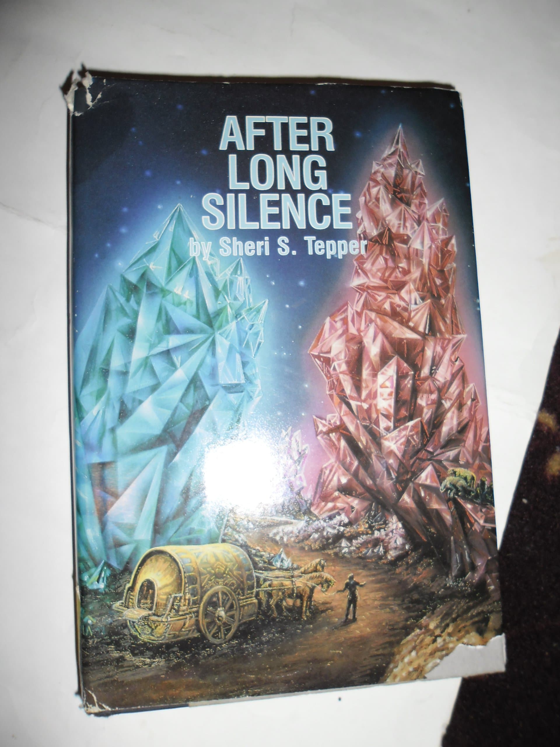 After Long Silence by Sheri S. Tepper