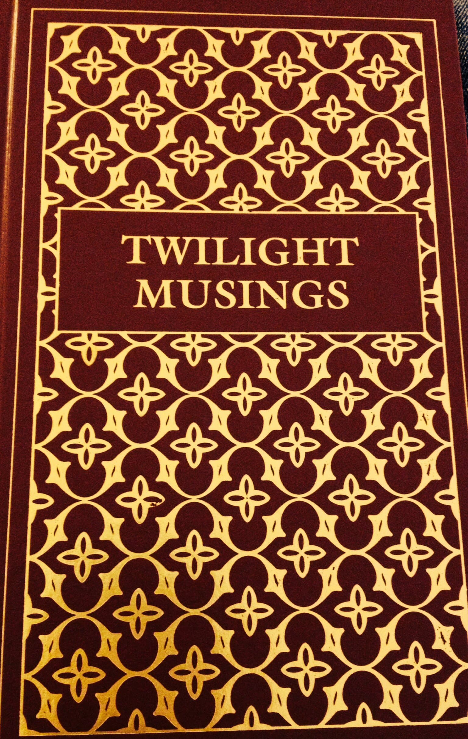Twilight Musings [Hardcover] Howard Ely by null