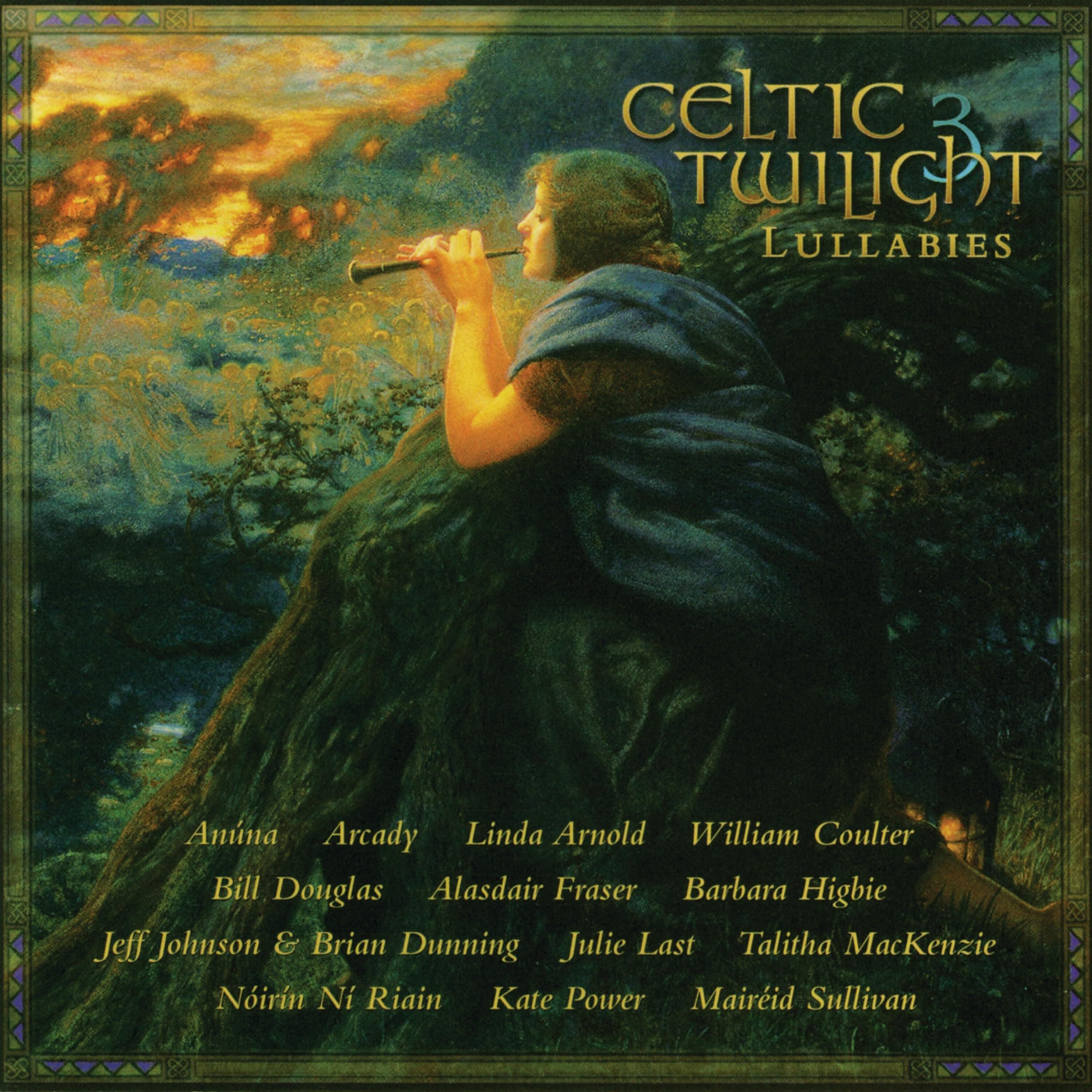 Celtic Twilight, Vol 3 [Audio CD] Linda Arnold by null