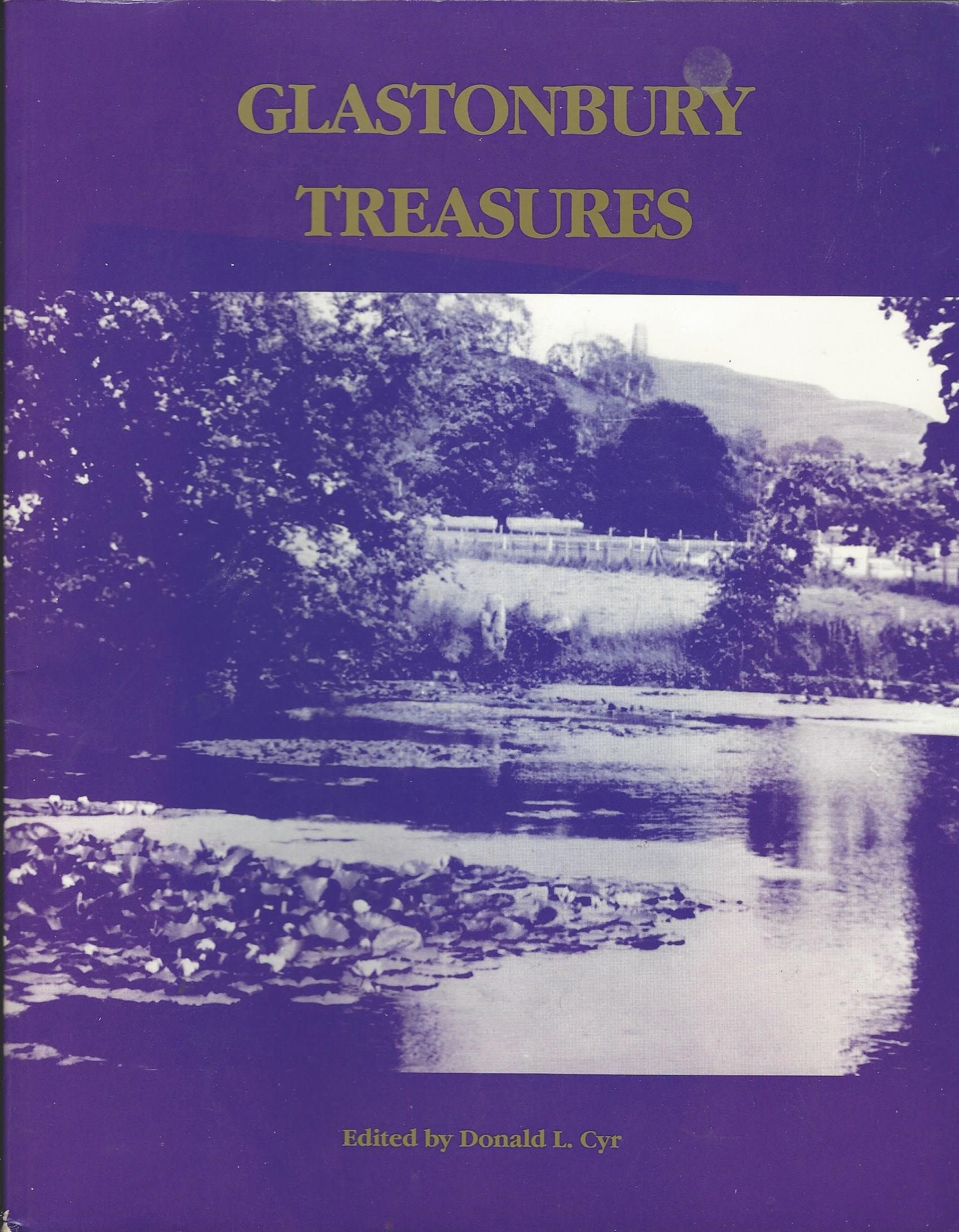 Glastonbury Treasures [Paperback] Donald Cyr by null