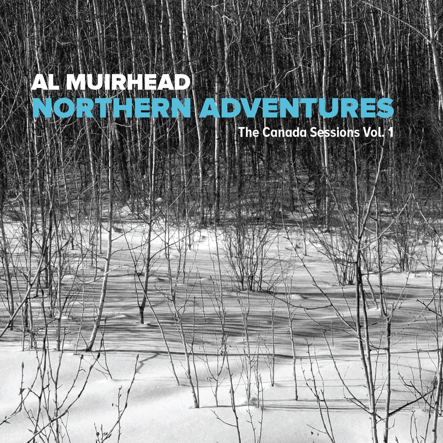 Northern Adventures: Canada Sessions Vol 1 [Audio CD] MUIRHEAD,AL