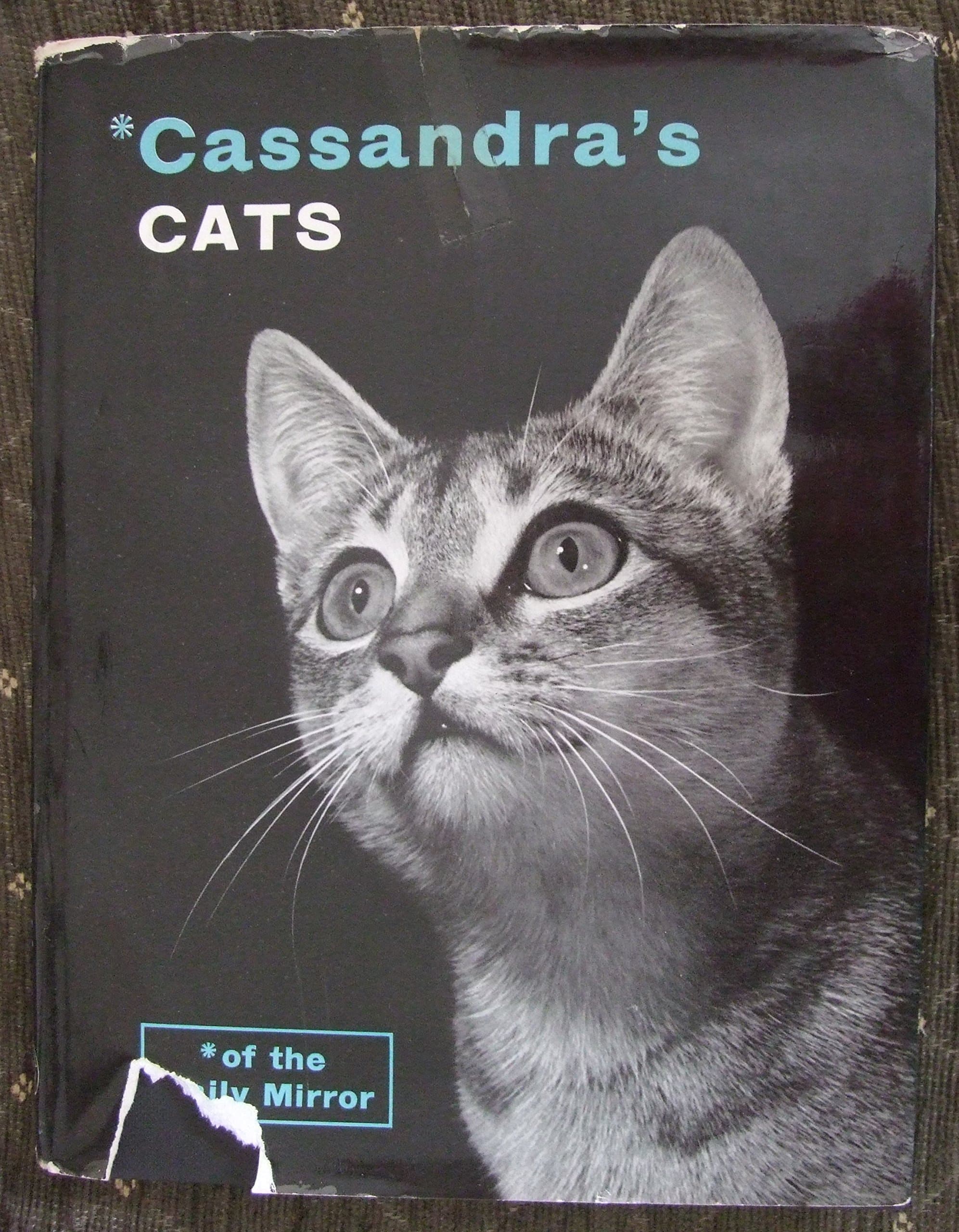 Cassandra's Cats [Hardcover] Connor, William (Cassandra) by null