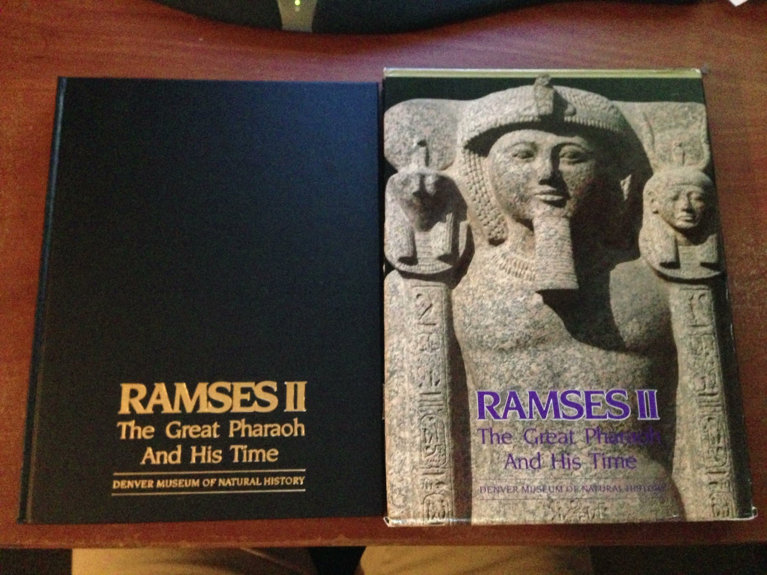 Ramses II: The Great Pharaoh and His Time Freed, Rita E. by null