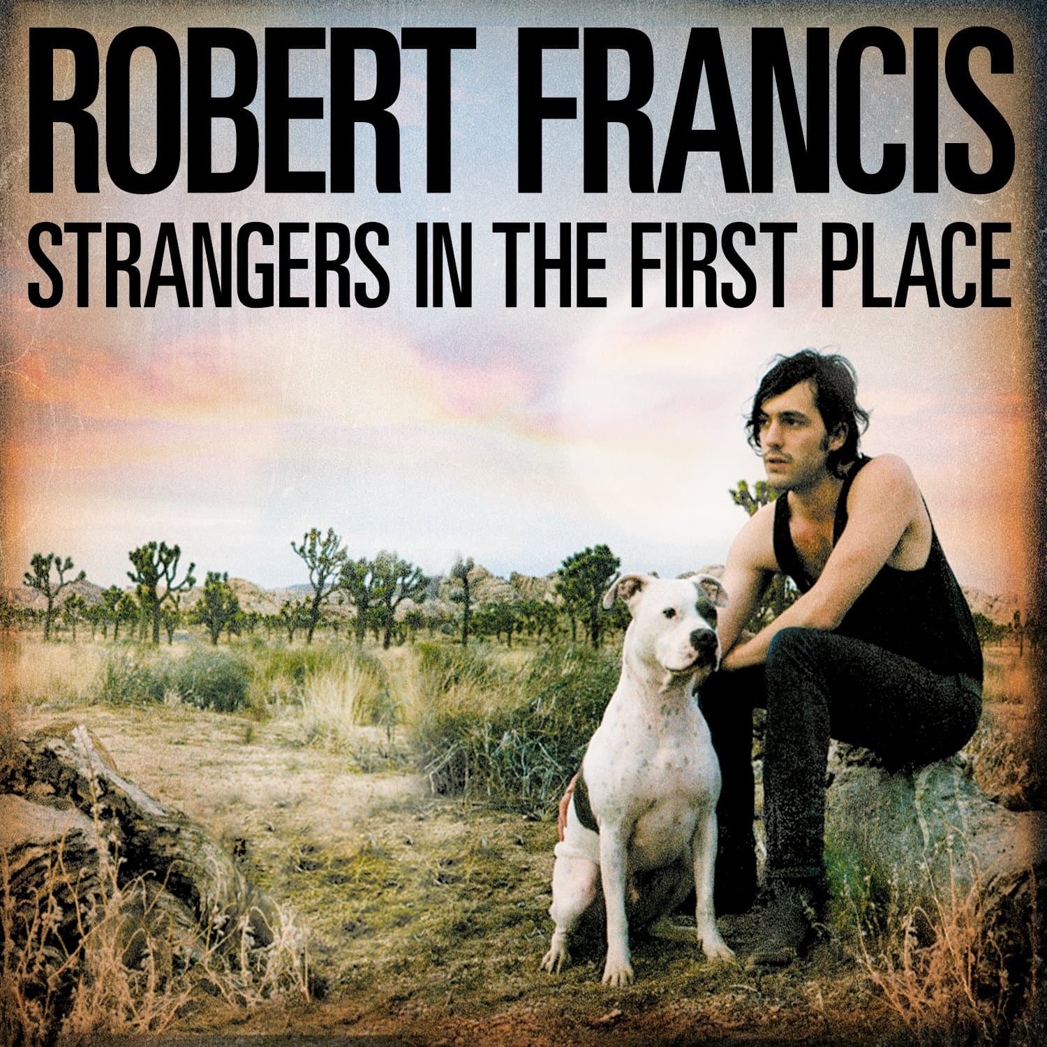 Strangers In The First Place [Audio CD] Robert Francis by null