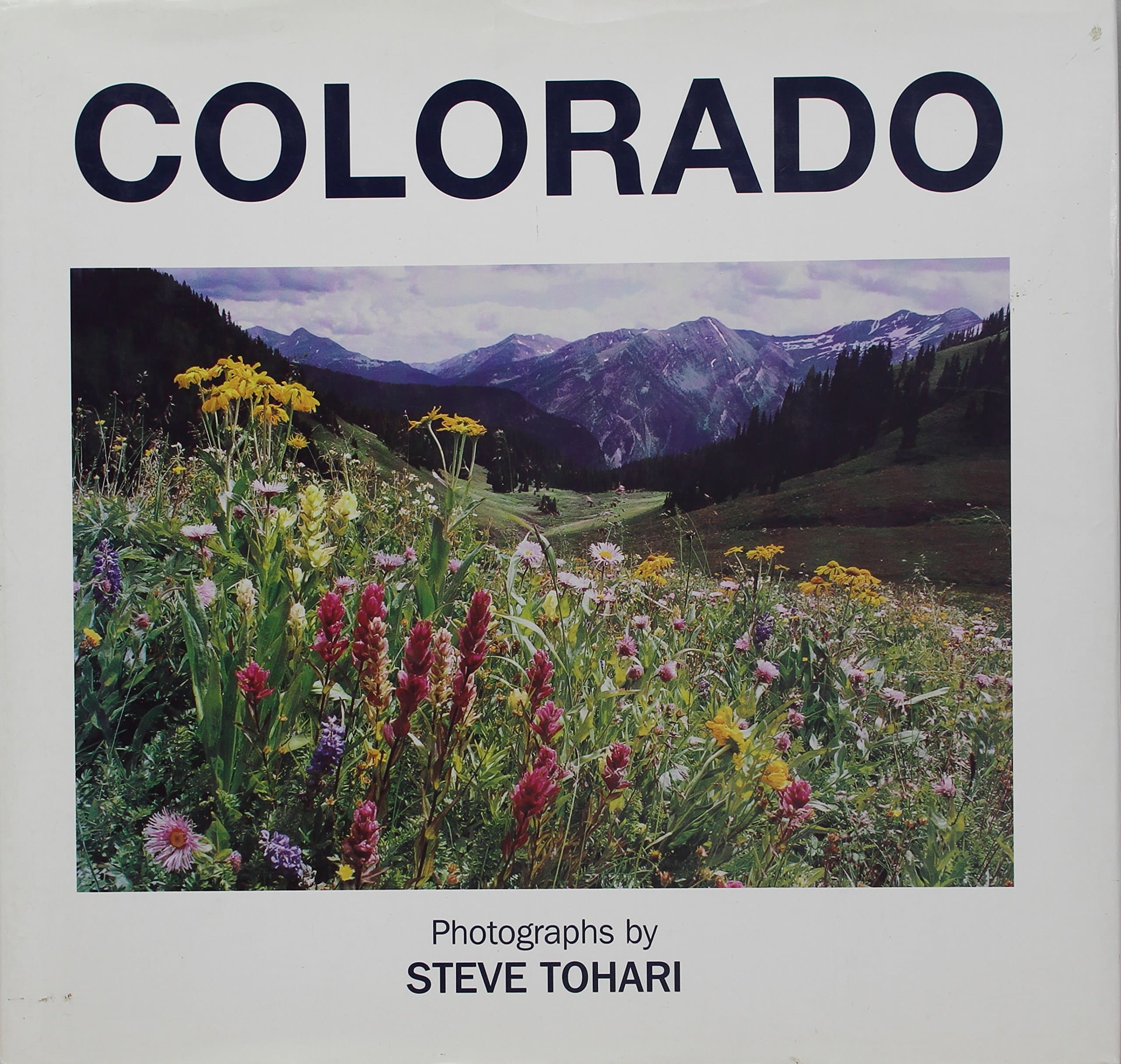 Colorado Tohari, Steve by null