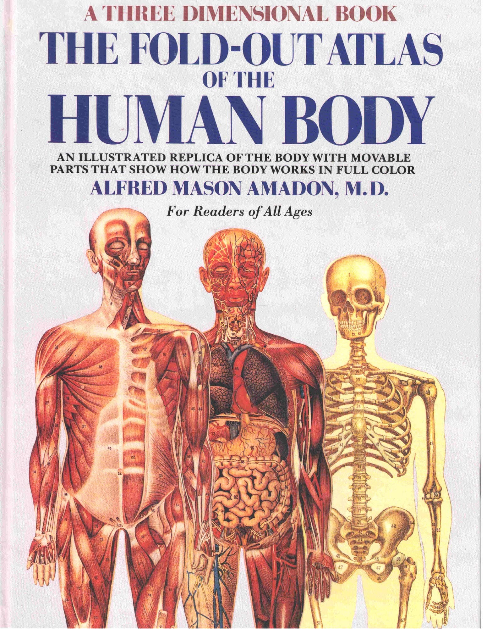 The Fold-Out Atlas of the Human Body (A Three Dimensional Book) [Hardcover] Alfred Amadon Mason and Nicholas Fiebach by null