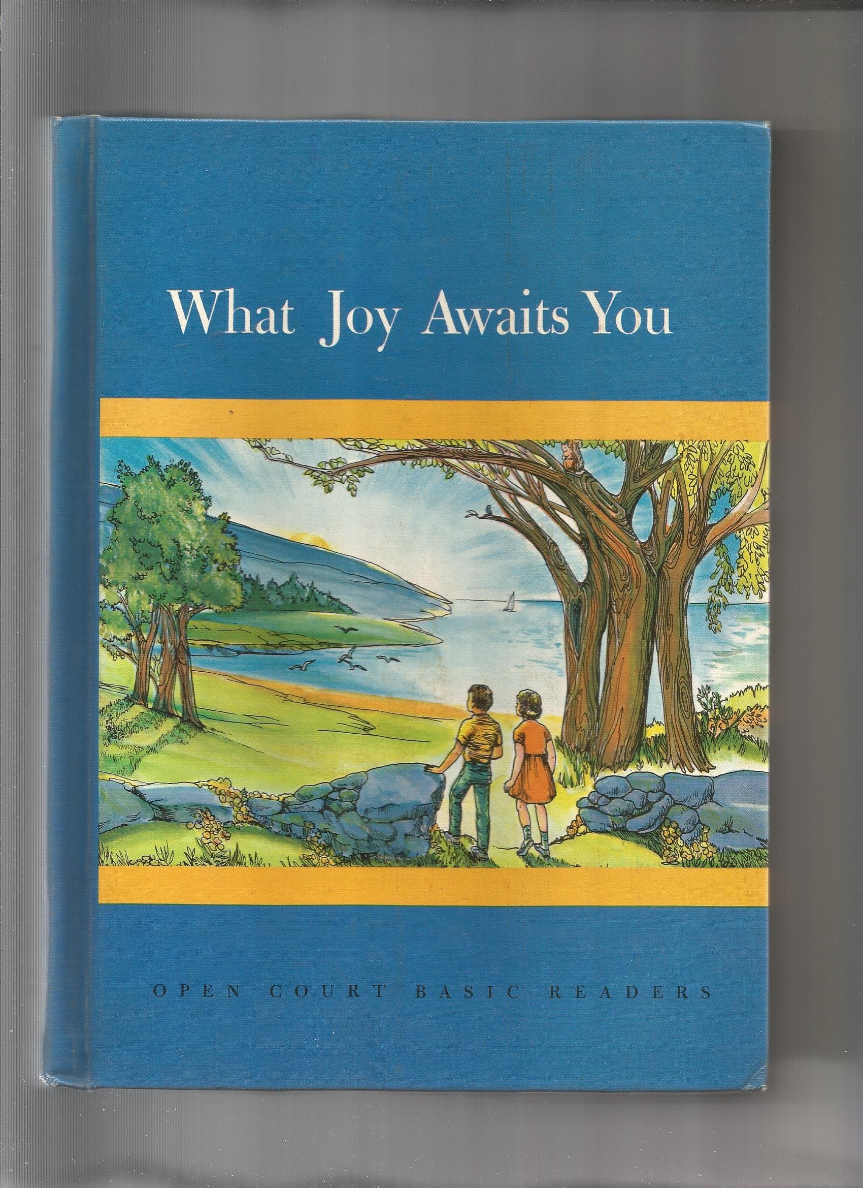 What Joy Awaits You [Unknown Binding] Marianne Carus and Mary Winifred Walter by null
