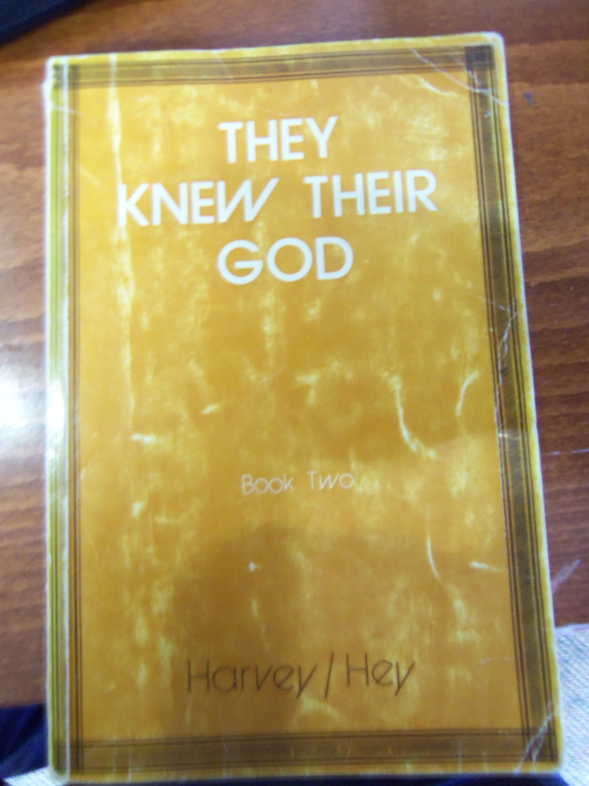 They Knew Their God Book Two by Elizabeth Hey
