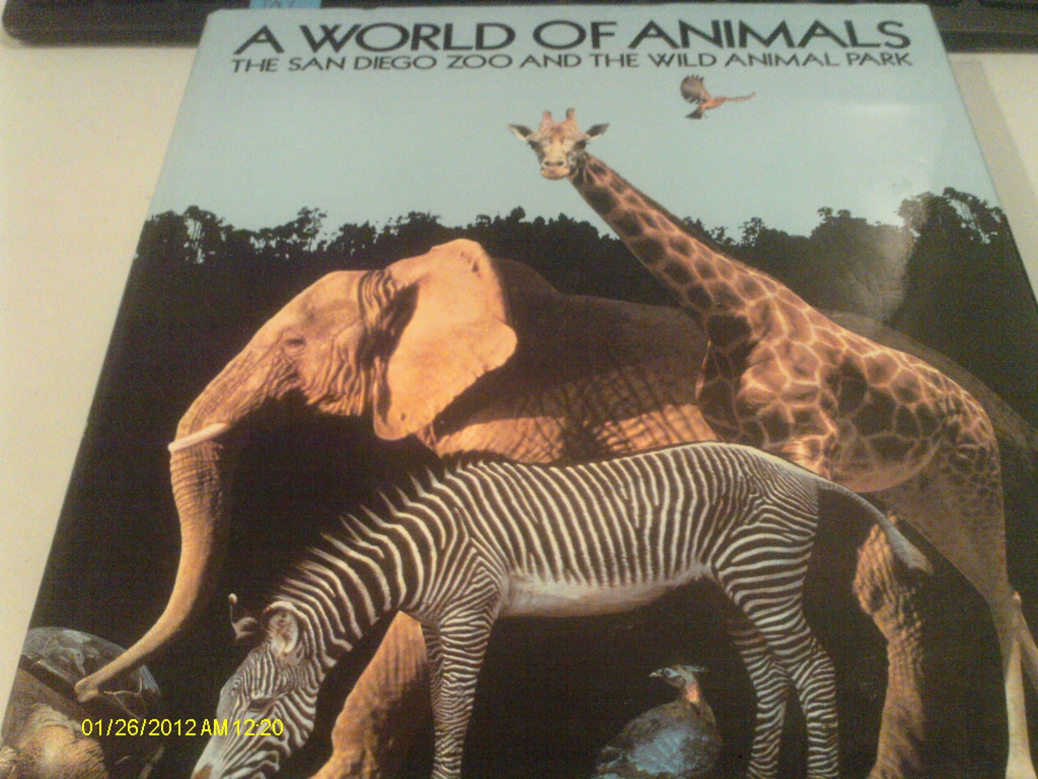 A world of animals: The San Diego Zoo and the Wild Animal Park by Bill Bruns