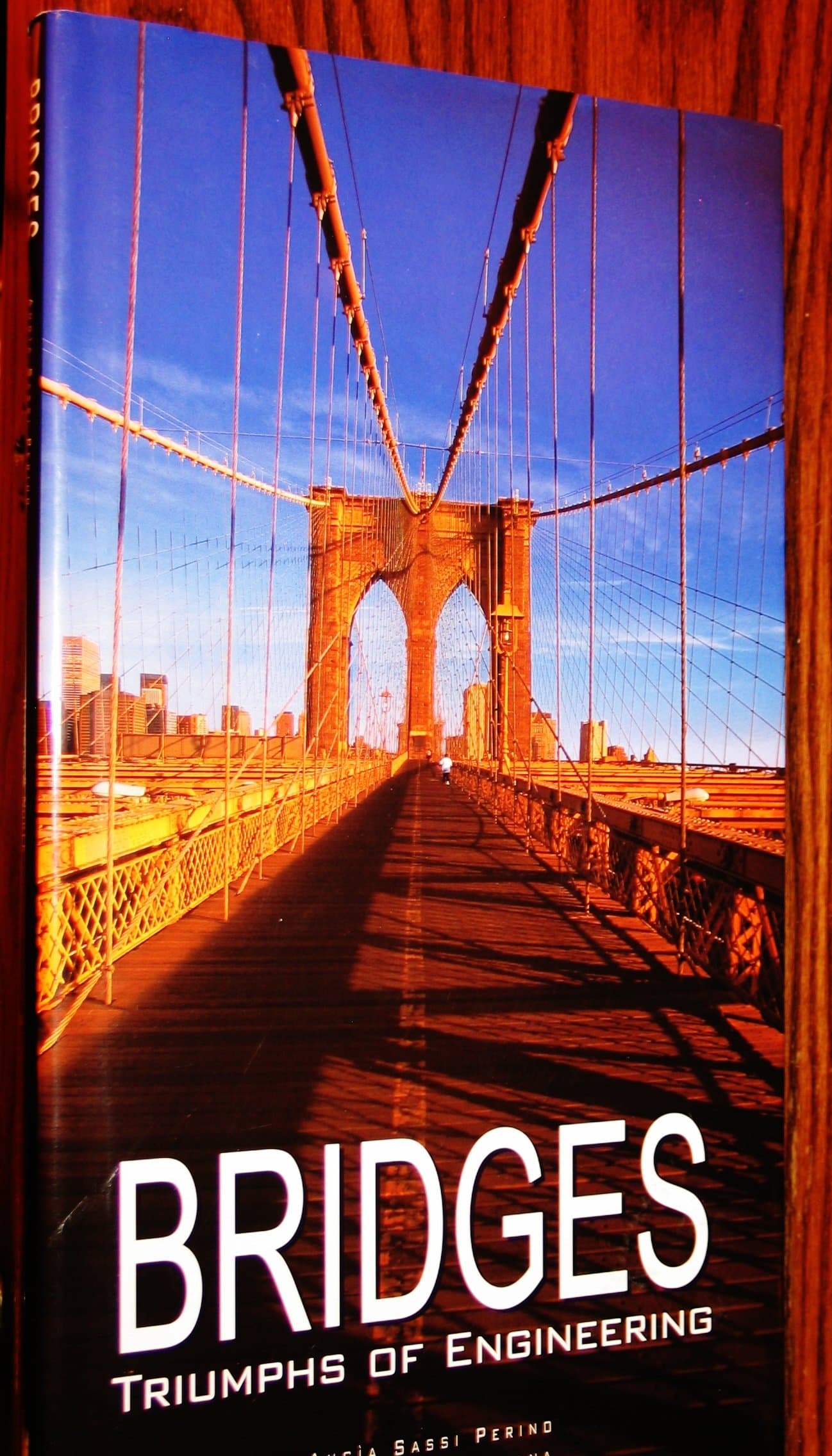 Bridges: Triumphs of Engineering by Angia Sassi & Giorgio Faraggiana Perino