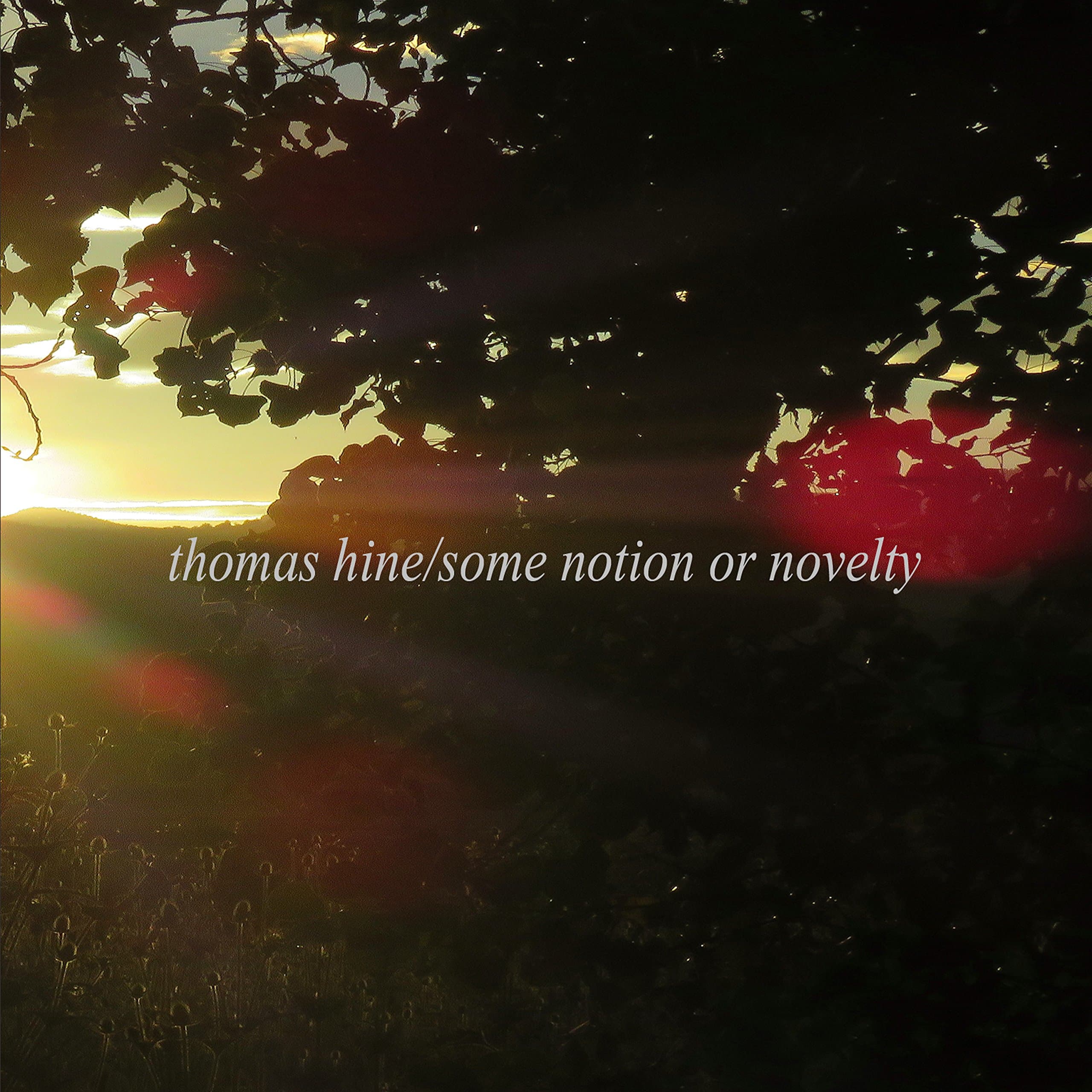 Some Notion Or Novelty [Audio CD] Thomas Hine by null