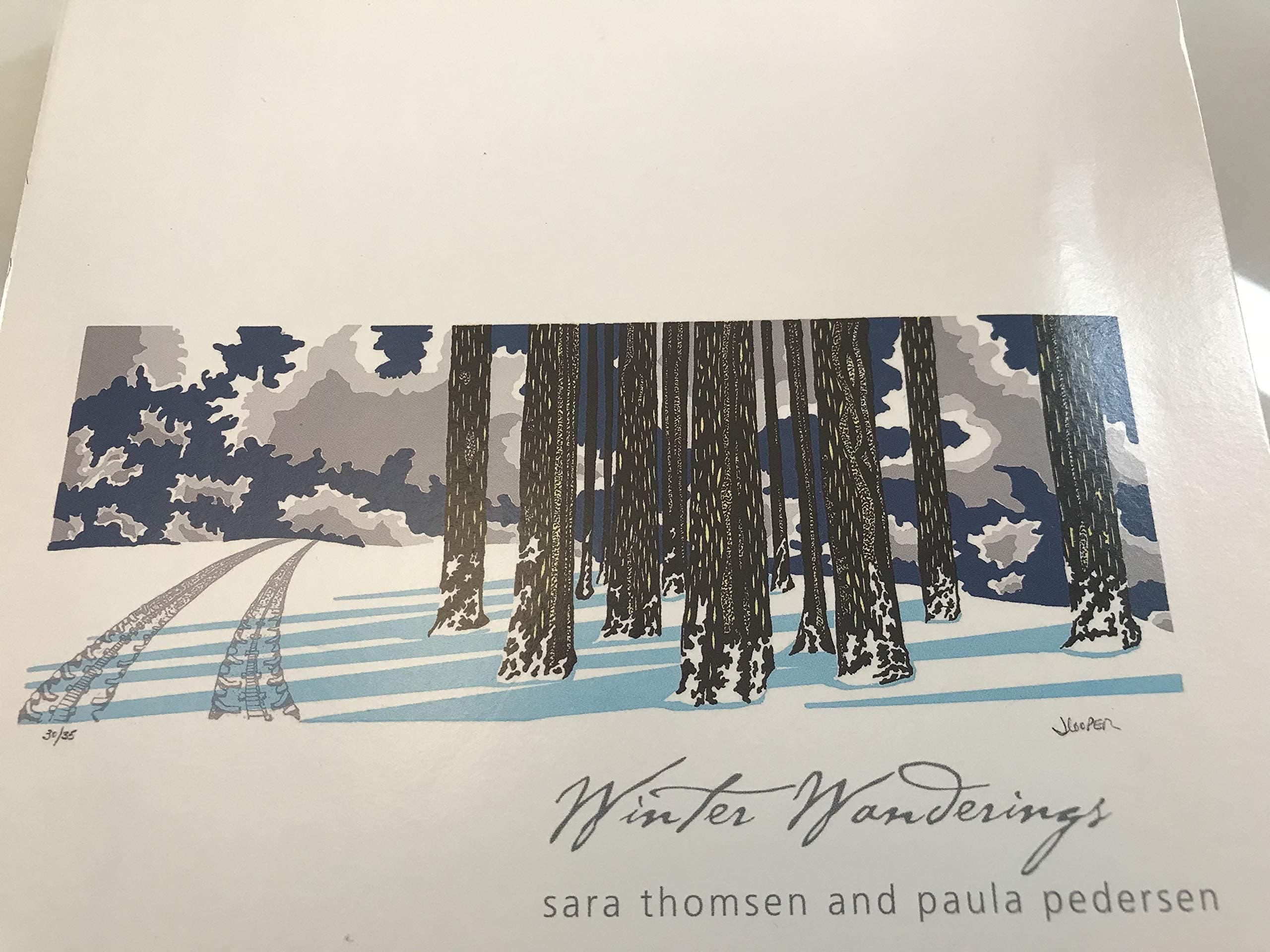 Winter Wanderings [Audio CD] sara thomsen and paula pedersen by null