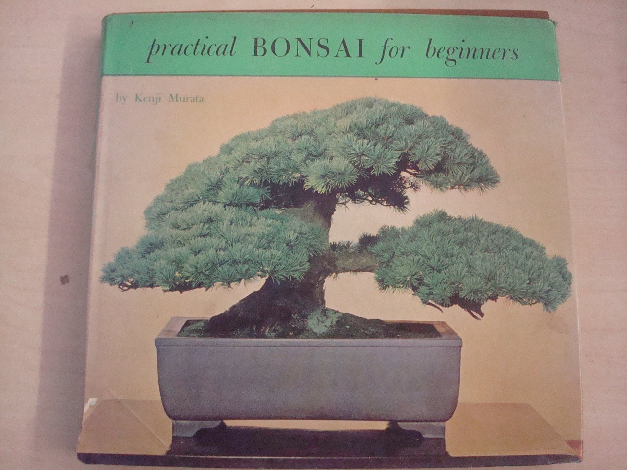 Practical Bonsai for Beginners [Hardcover] Murata, Kenji by null
