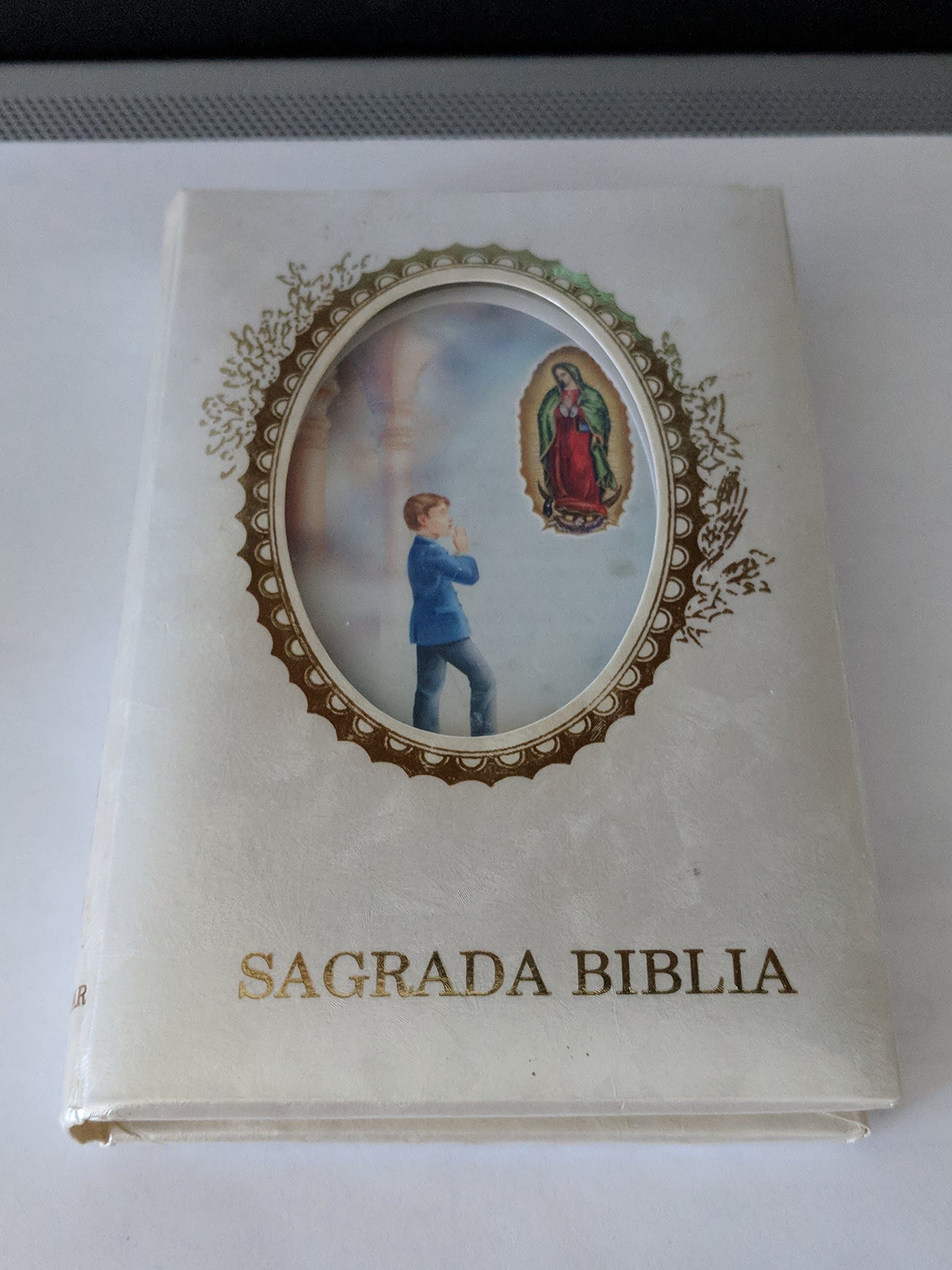 Sagrada Biblia Nuevo Testamento - Spanish New Testament Pocket size 1991 [Perfect Paperback] Anonymous by null