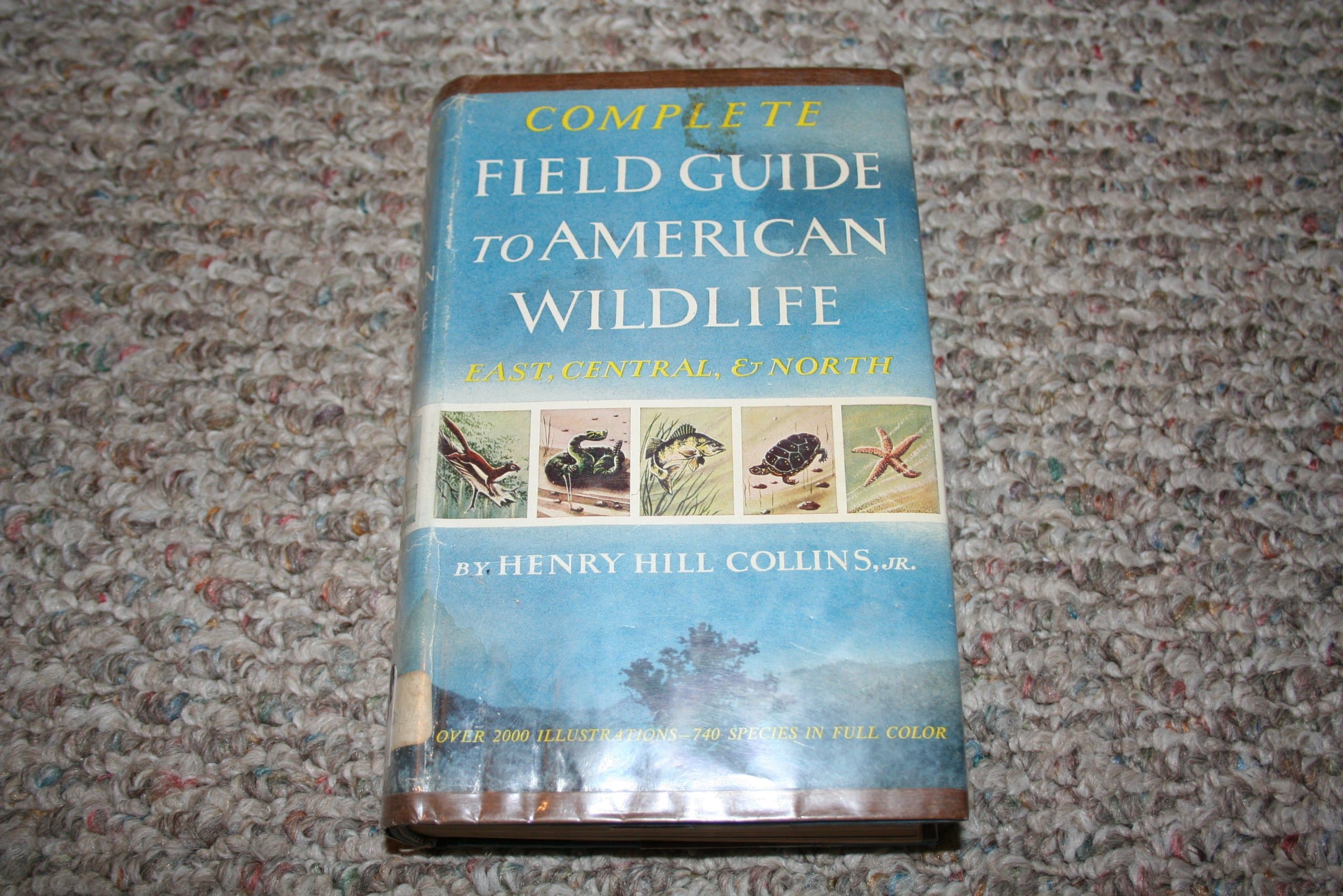 Complete field guide to American wildlife by Collins, Henry Hill