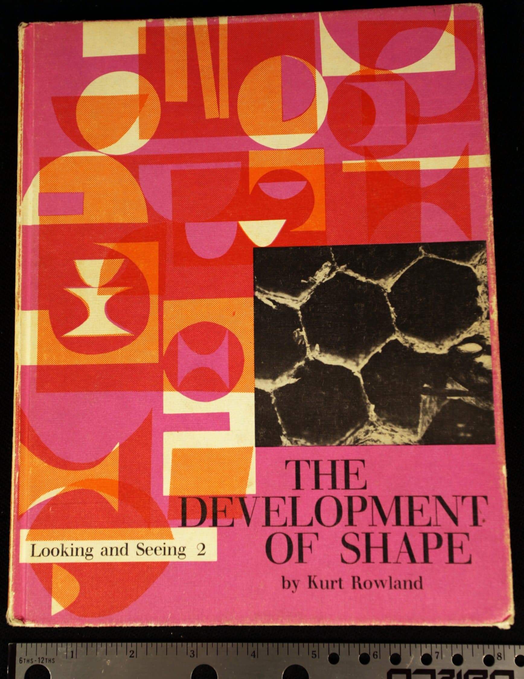 The development of shape;: Notes for teachers, (His Looking and seeing 2) [Unknown Binding] Rowland, Kurt F by null