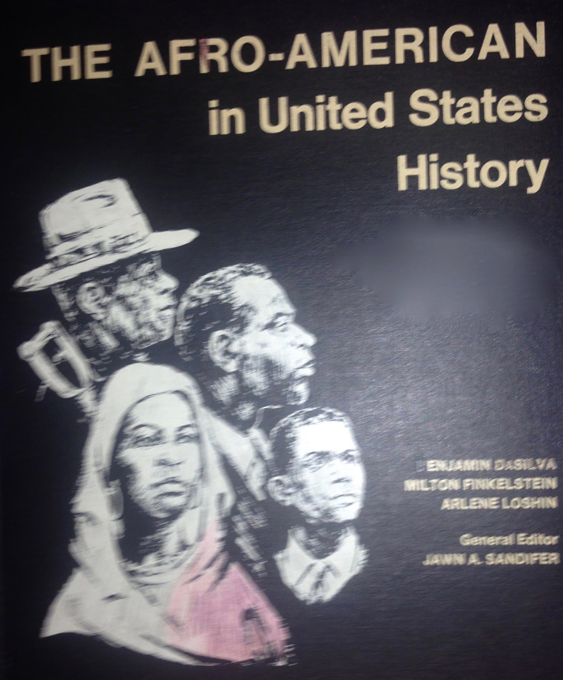 The Afro-American in United States History [Hardcover] DaSilva, Finkelstein, Loshin by null
