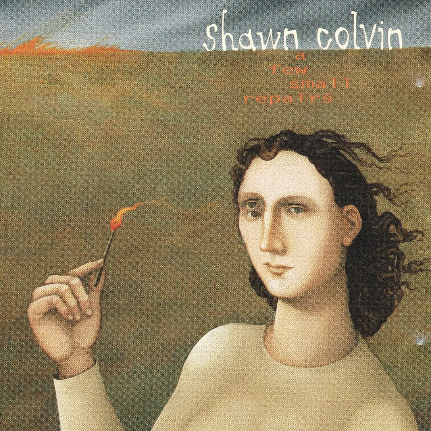 A Few Small Repairs [Audio CD] Colvin, Shawn