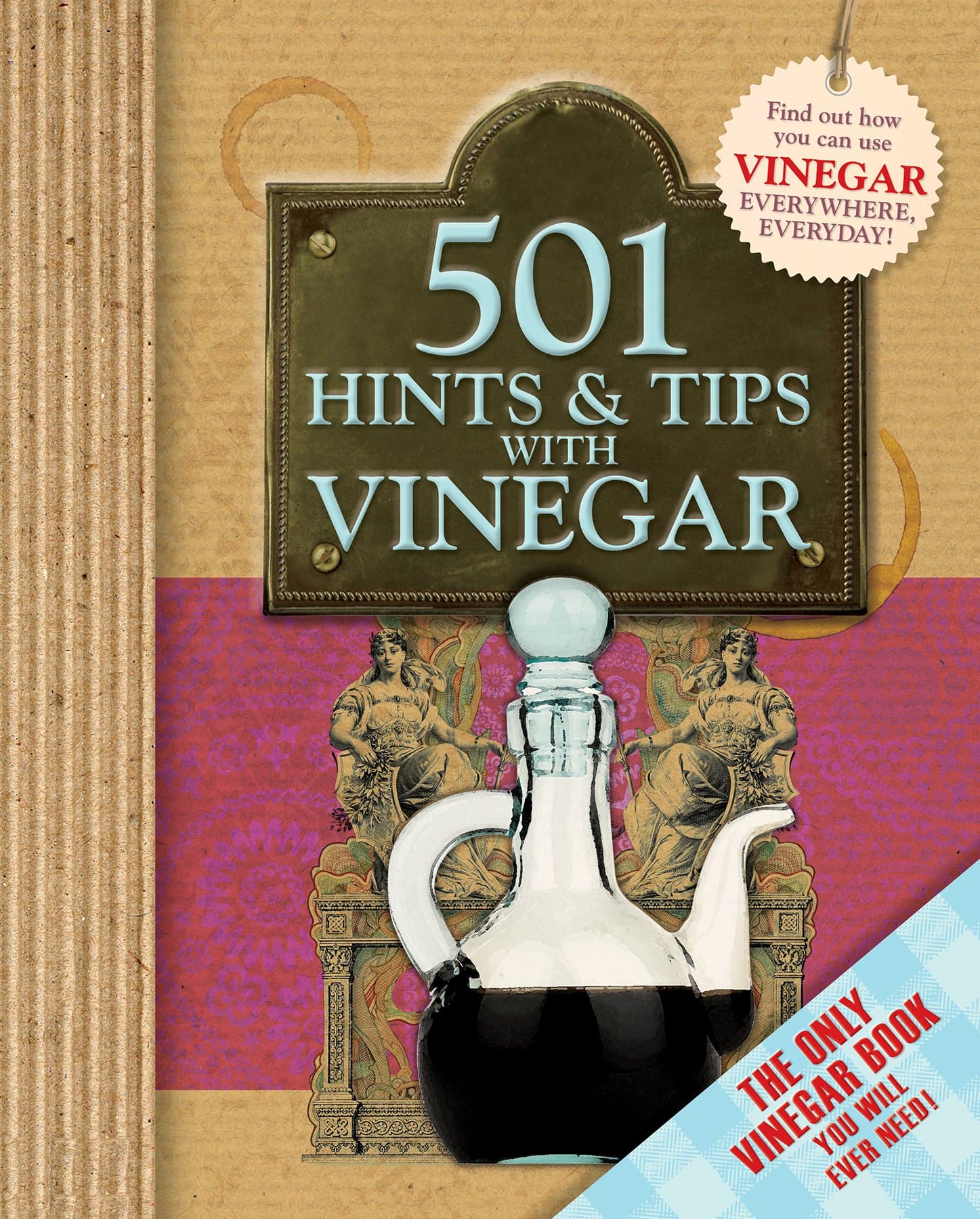 501 Hints & Tips with Vinegar (Hints & Tips Bind Up) [Hardcover] by null