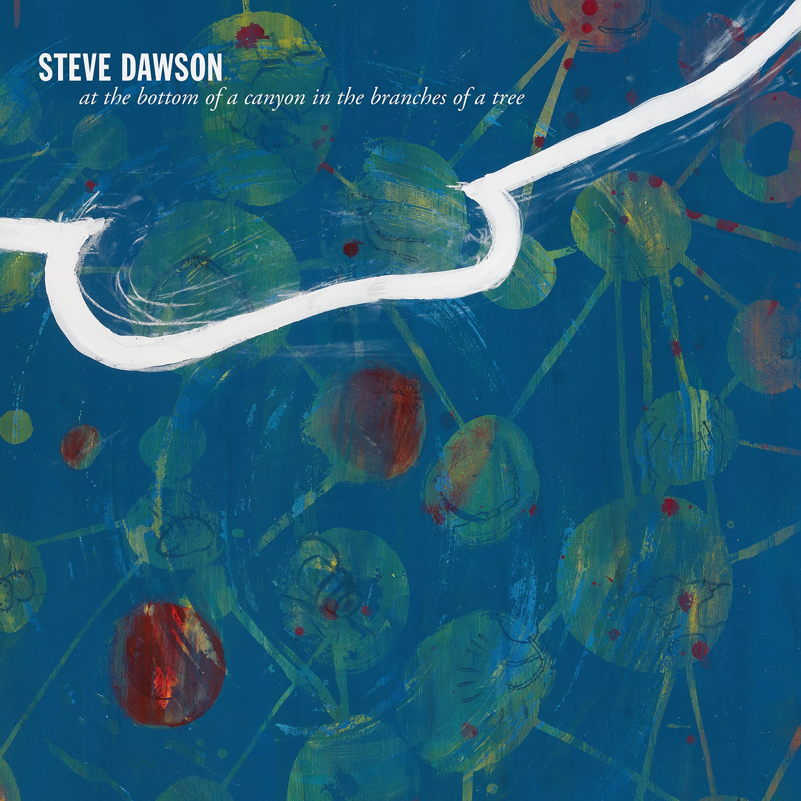 At The Bottom Of A Canyon In The Branches Of Tree [Audio CD] Dawson, Steve by null