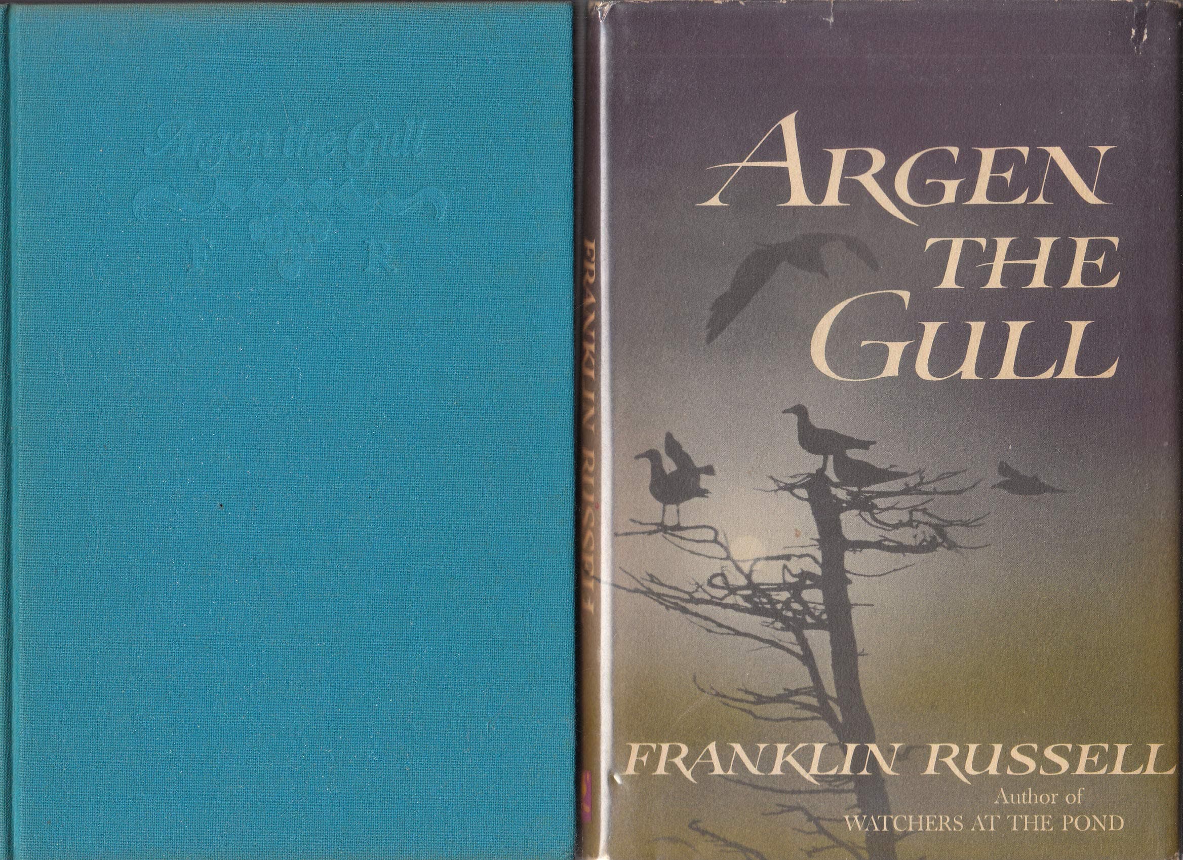 Argen the Gull [Hardcover] Russell, Franklin by null