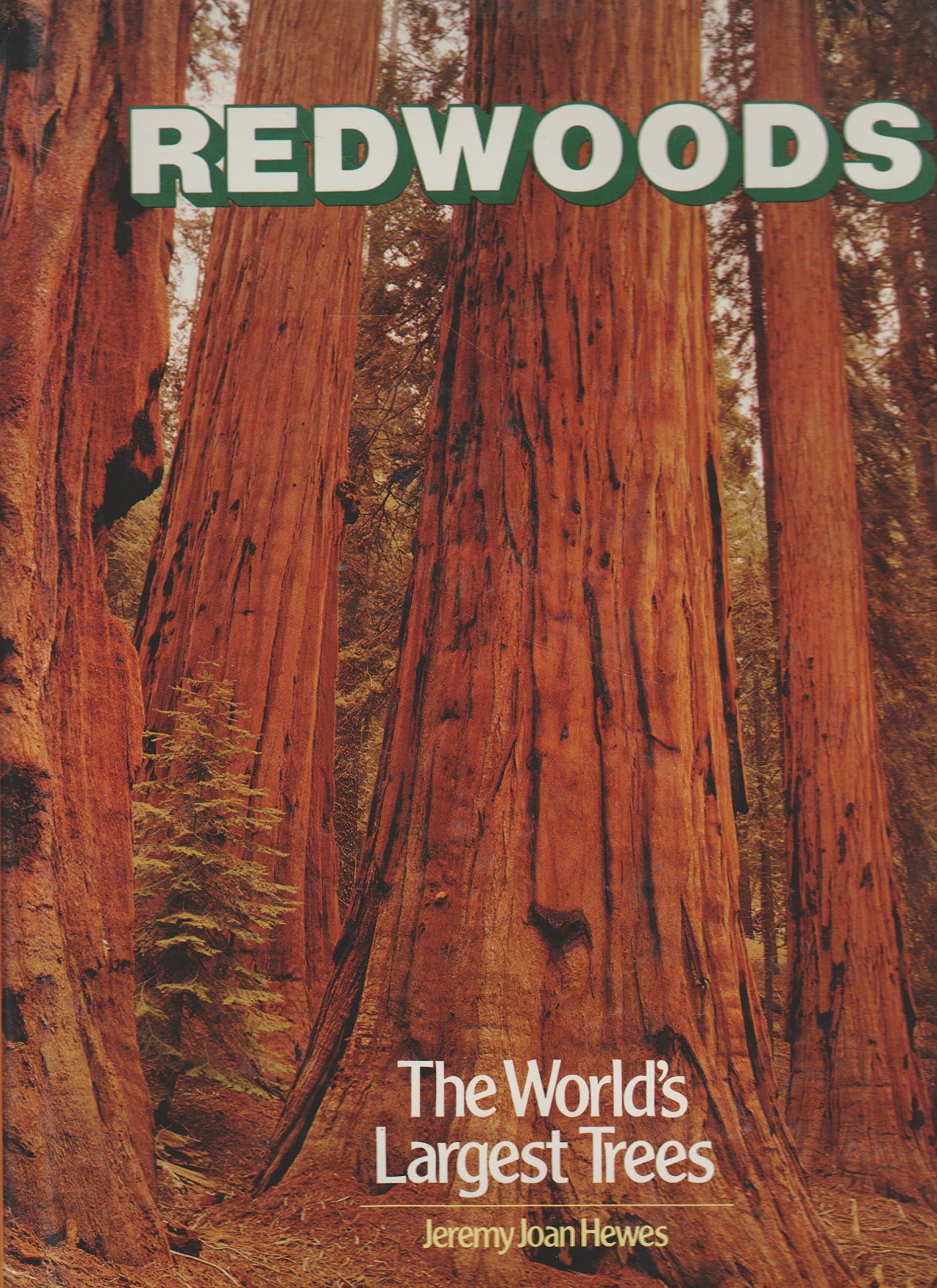 Redwoods: The World's Largest Trees by Jeremy Joan Hewes