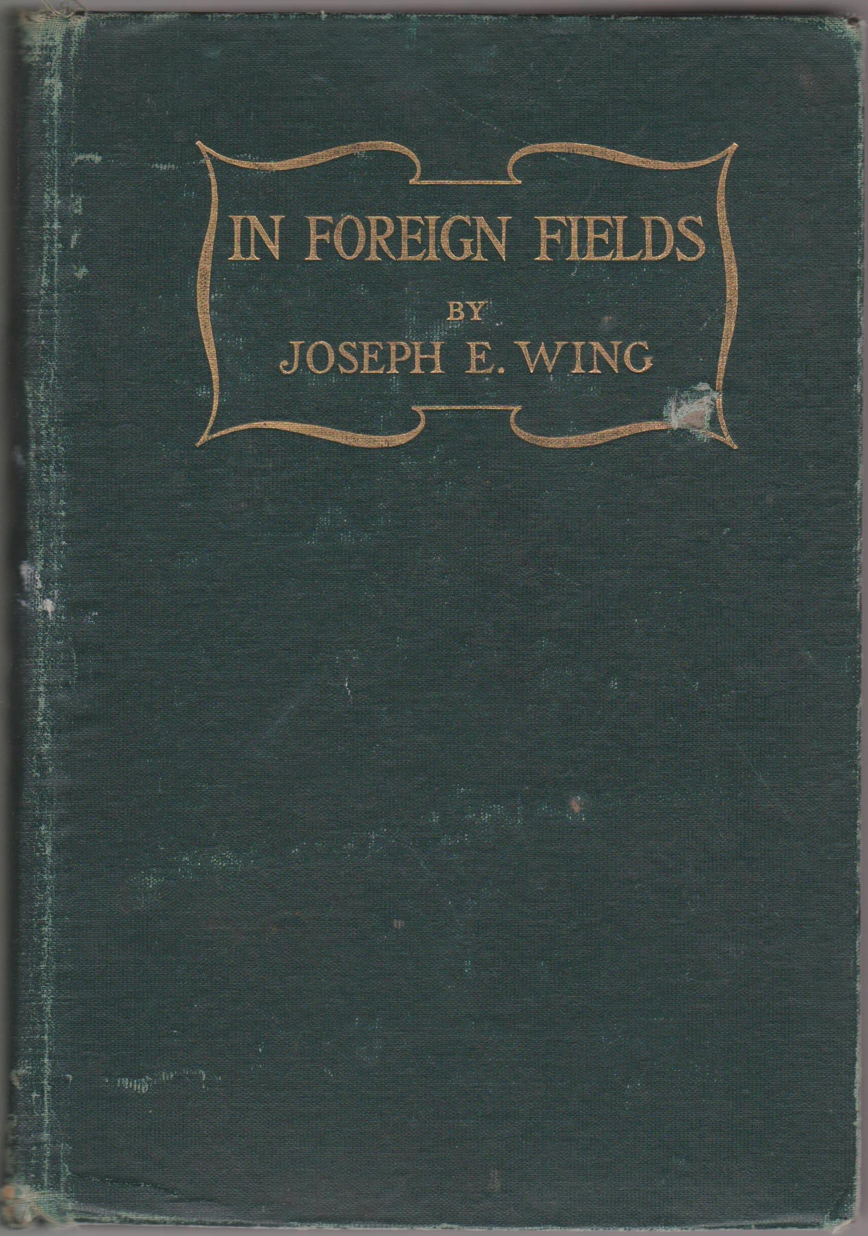 IN FOREIGN FIELDS [Hardcover] Joseph E. Wing by null