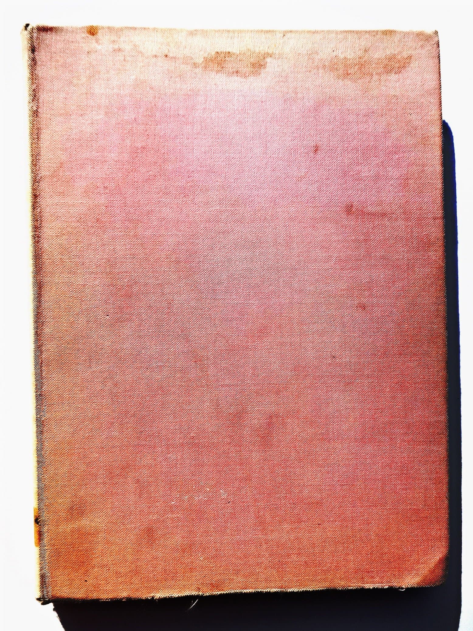 Tales of the Hodja [Hardcover] Charles Downing and William Papas by null