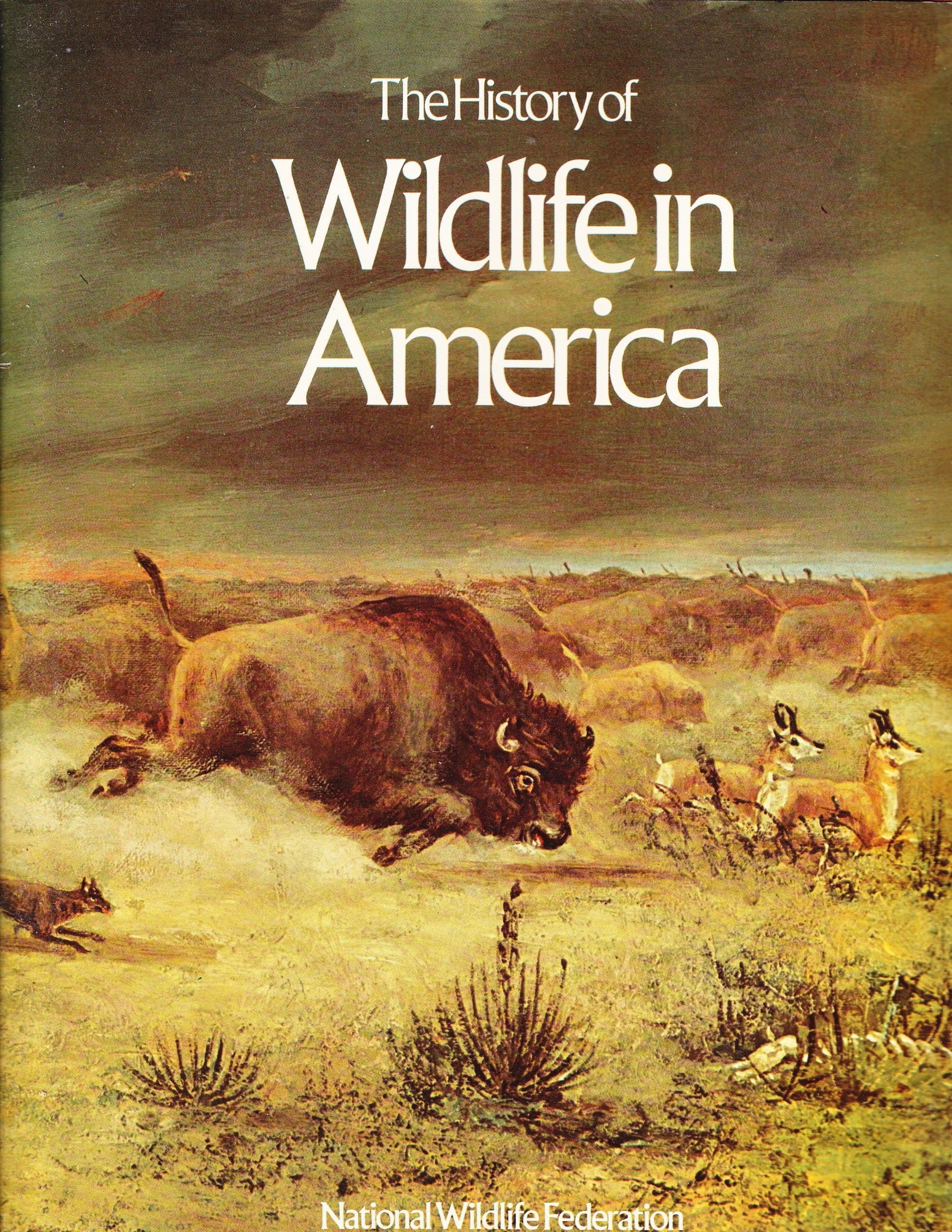 The history of wildlife in America by Borland. Hal