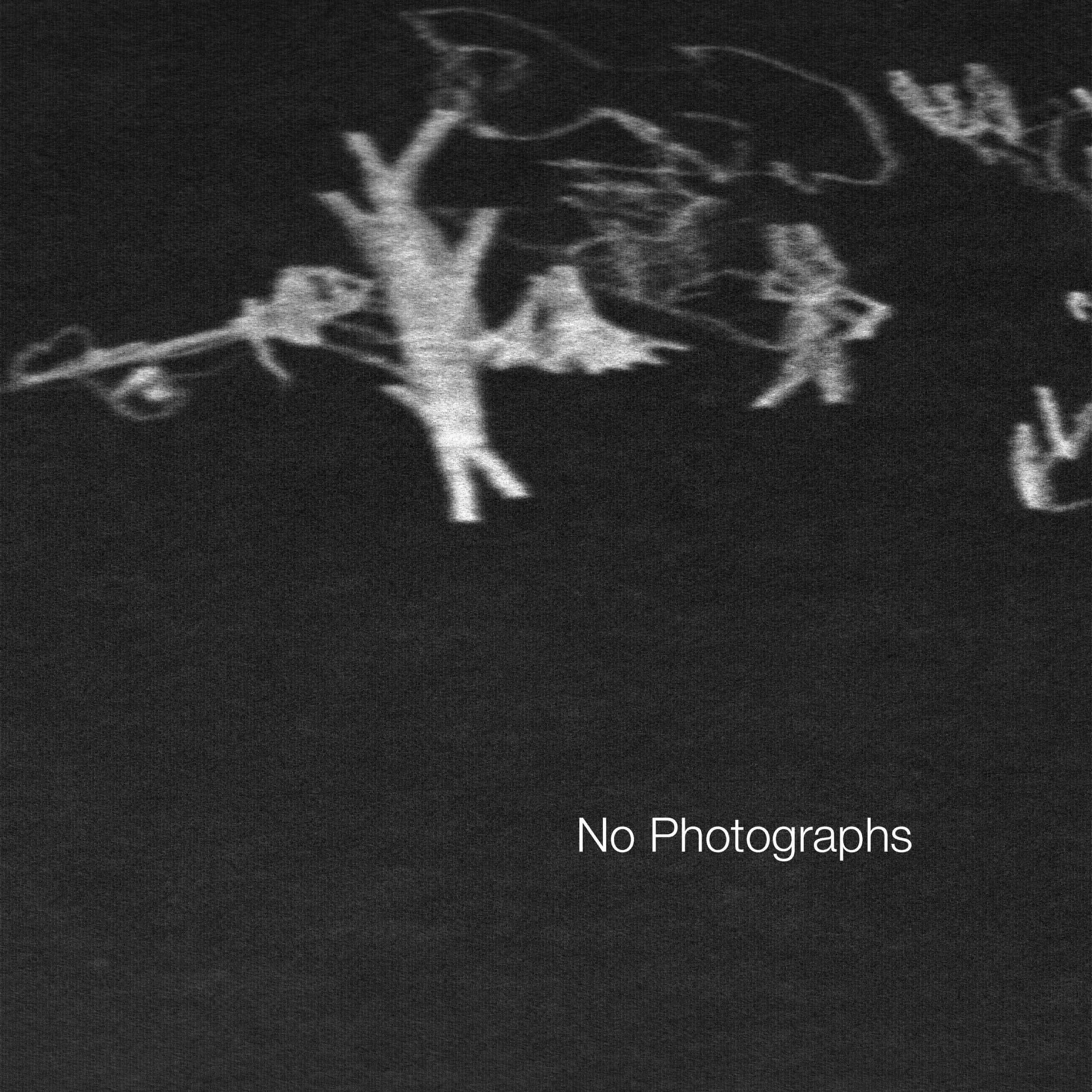 No Photographs [Audio CD] Jason Vitelli by null