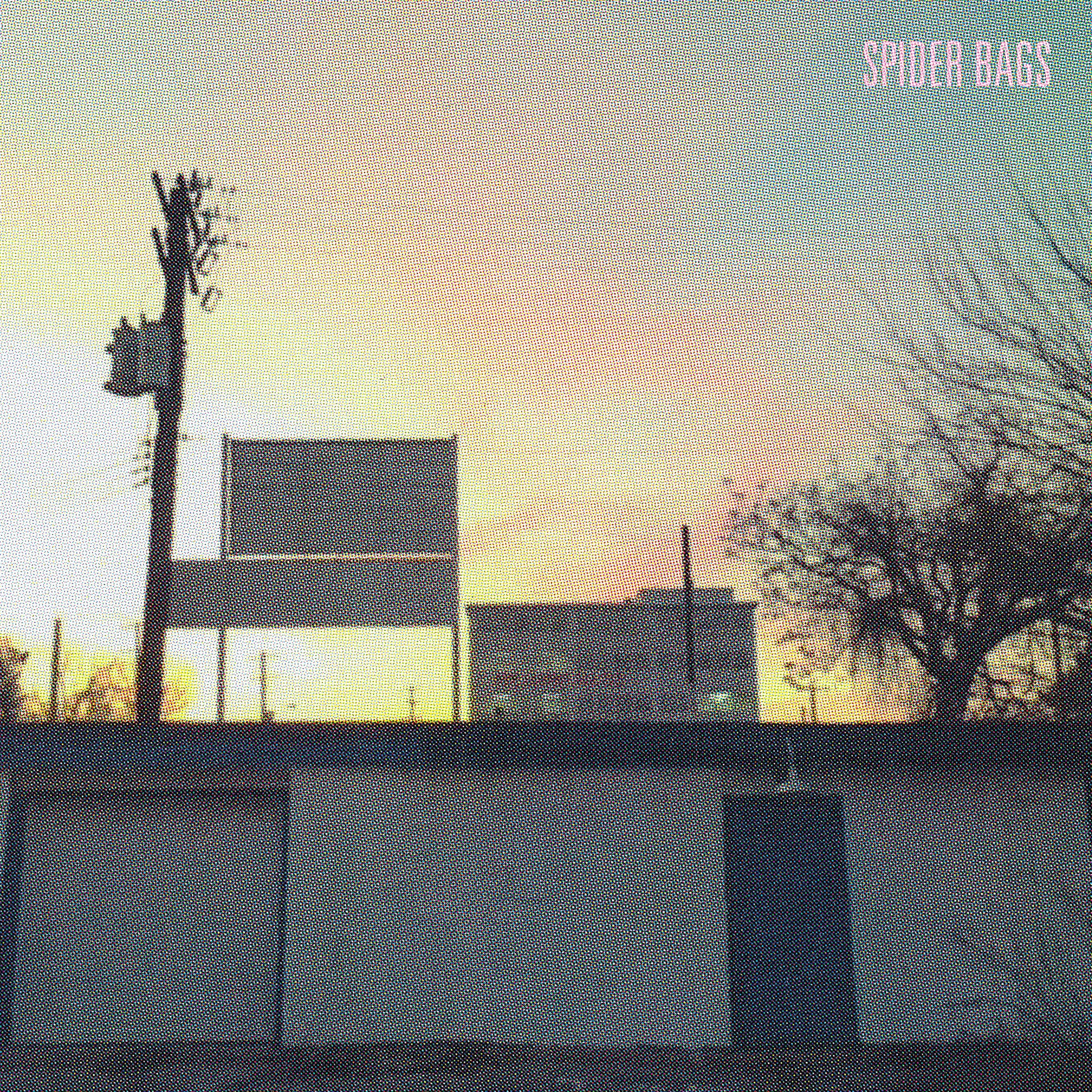 SOMEDAY EVERYTHING WILL BE FINE [Audio CD] Spider Bags