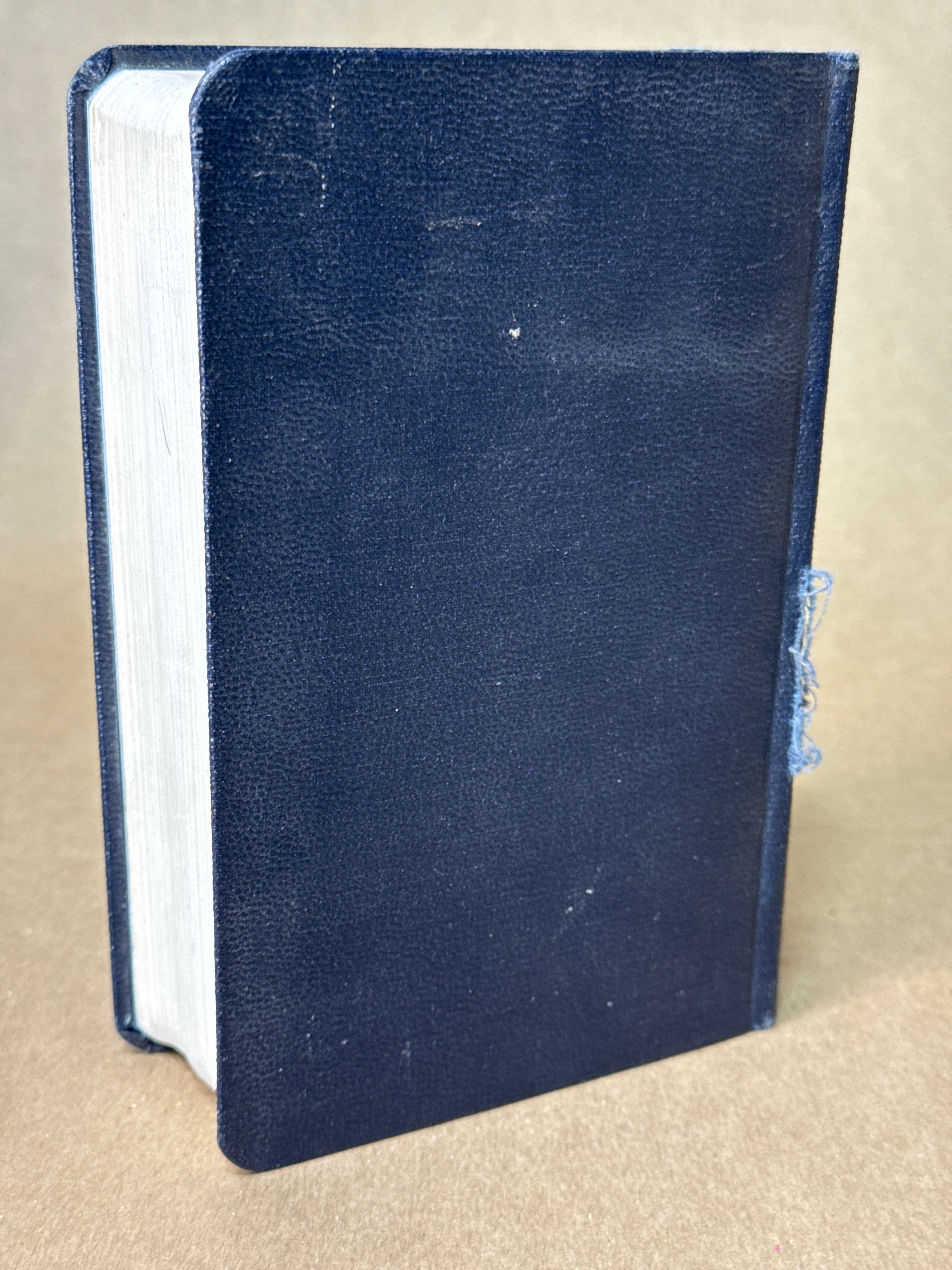 The Merck Manual of Therapeutics and Materia Medica - additional view