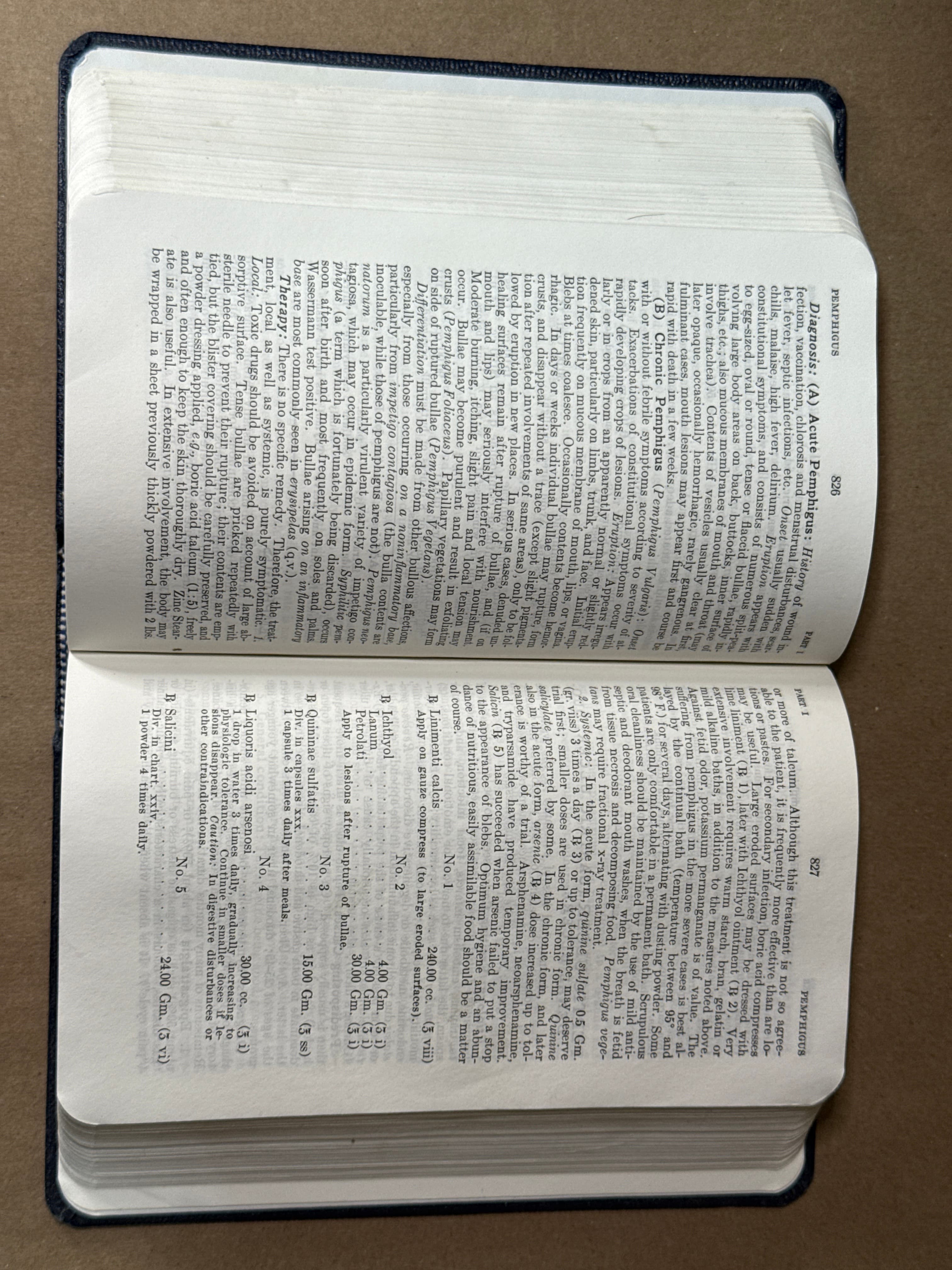 The Merck Manual of Therapeutics and Materia Medica - additional view