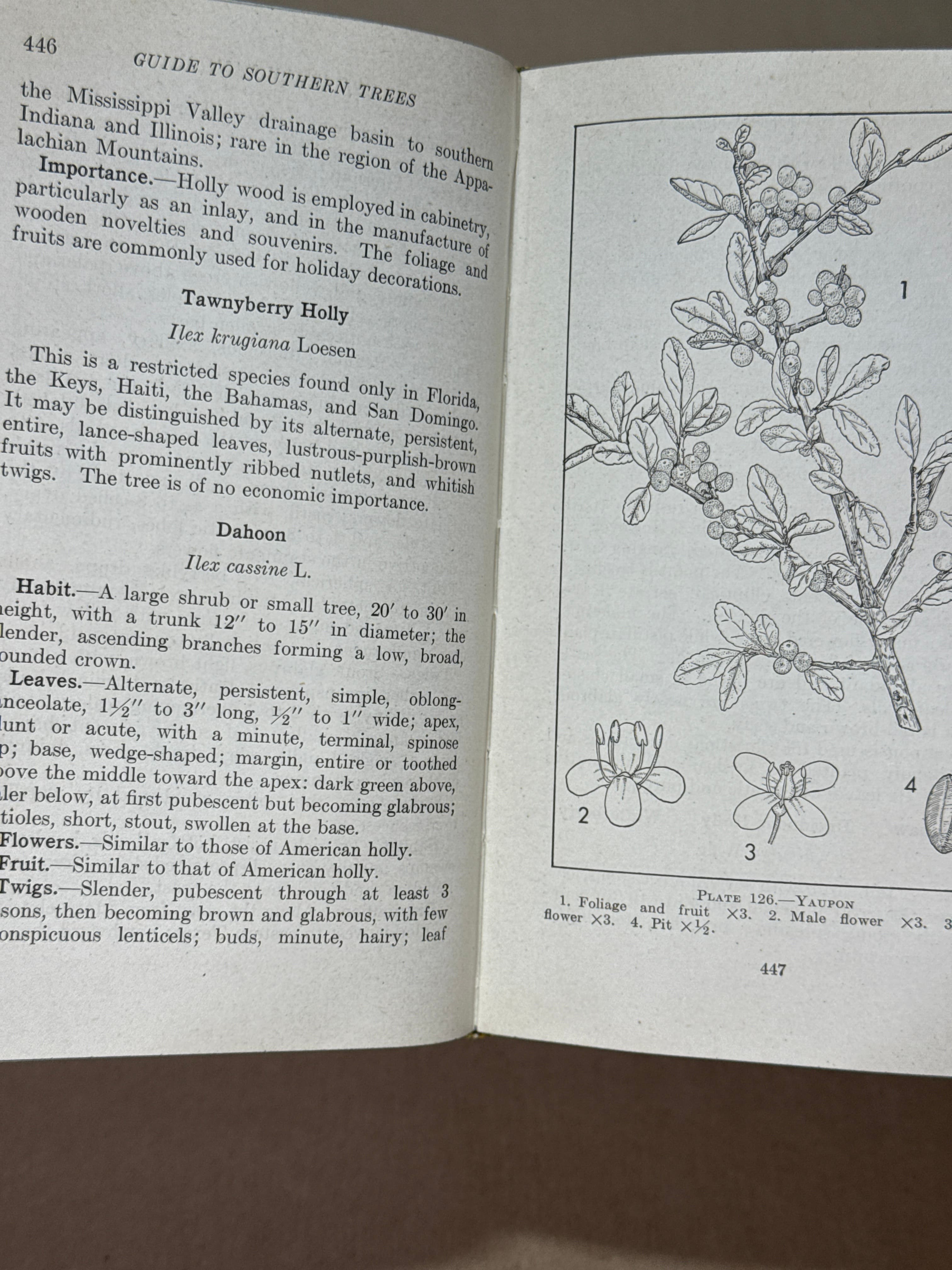 Guide to Southern Trees by Ellwood S. Harrar and J. George Harrar - additional view