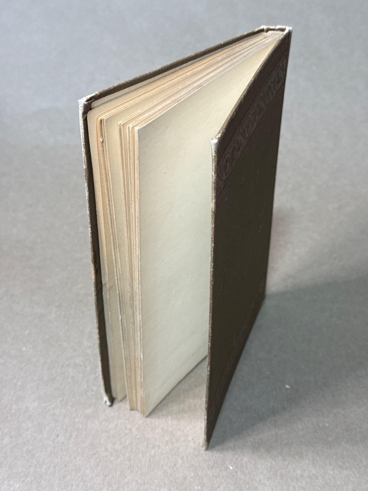 Rum, Rags, and Religion, or "In Darkest America and the Way Out." by Rev. O. M. Owen - additional view