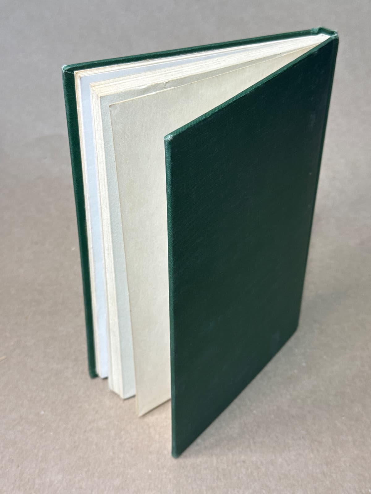 These Things Have Happened by Aletha Knapp Faust - additional view