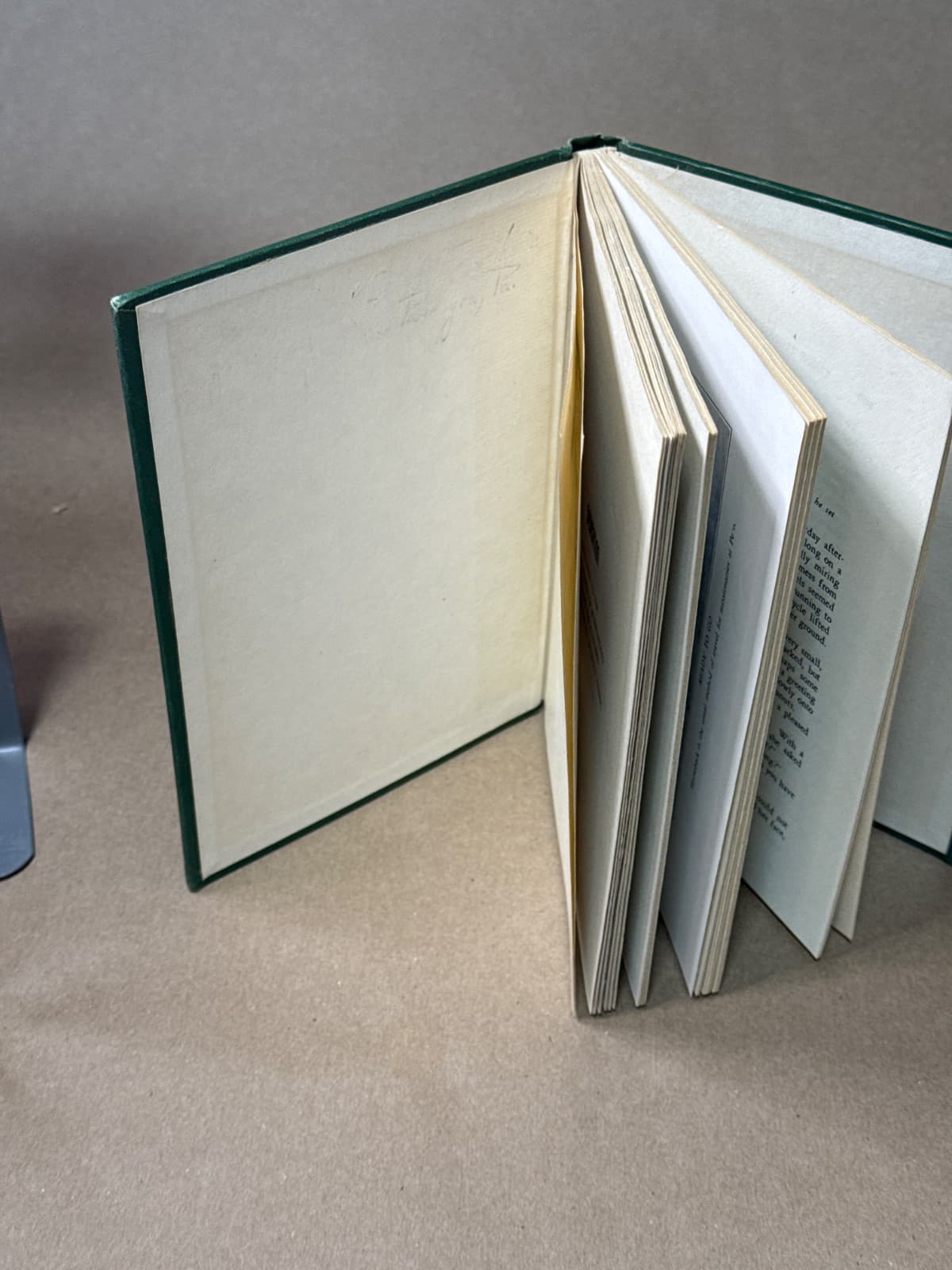 These Things Have Happened by Aletha Knapp Faust - additional view