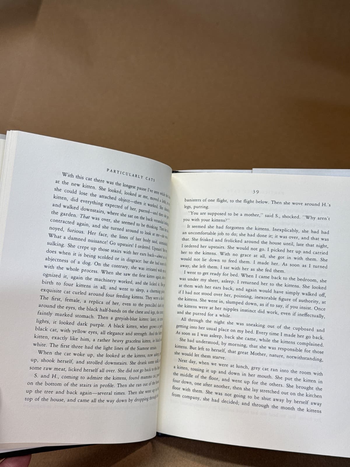 Particularly Cats and Rufus by Doris Lessing - additional view
