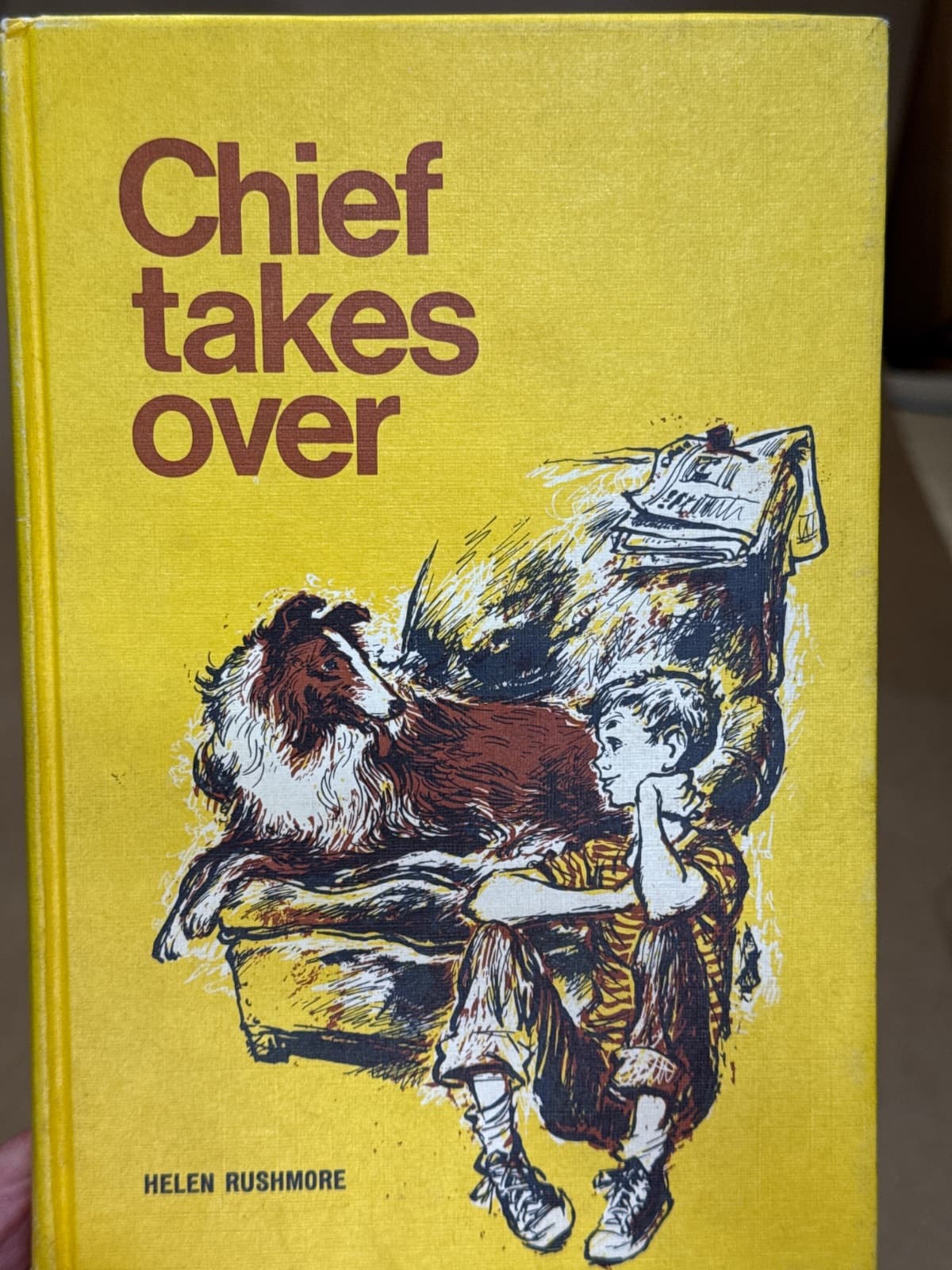 Chief Takes Over by Helen Rushmore - front cover