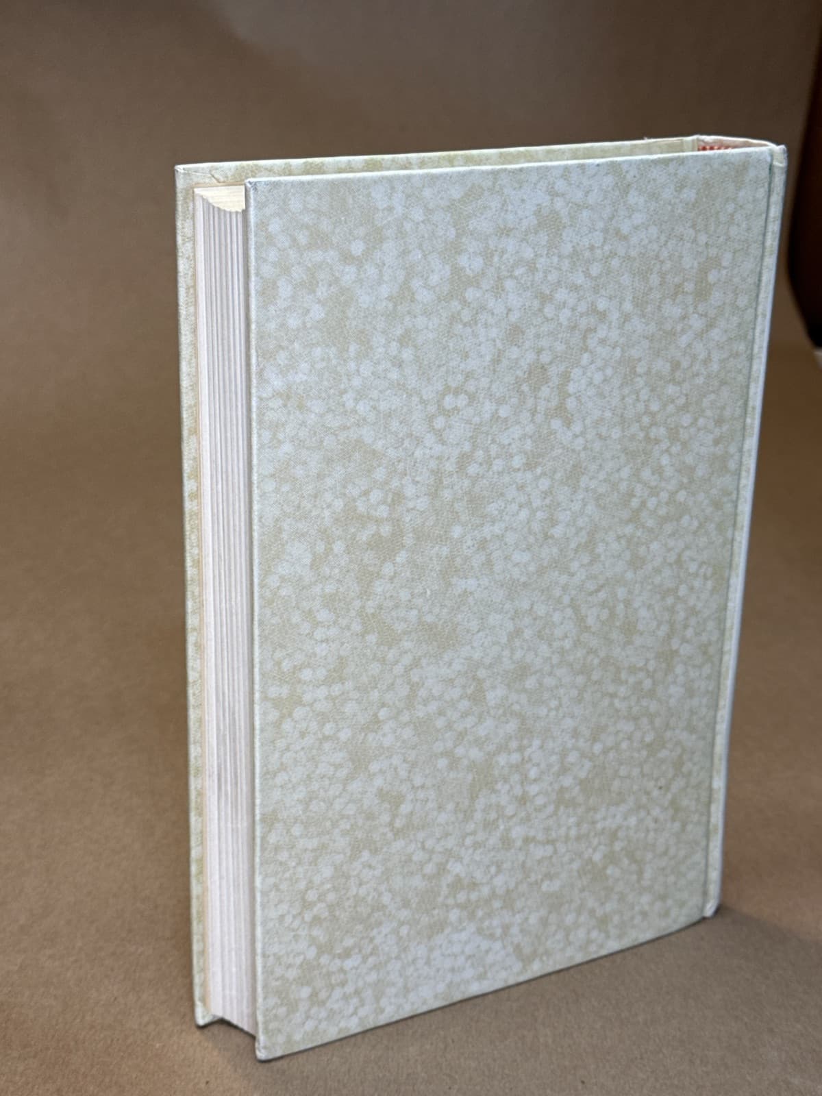 Mary Fielding Smith: Daughter of Britain by Don Cecil Corbett - additional view