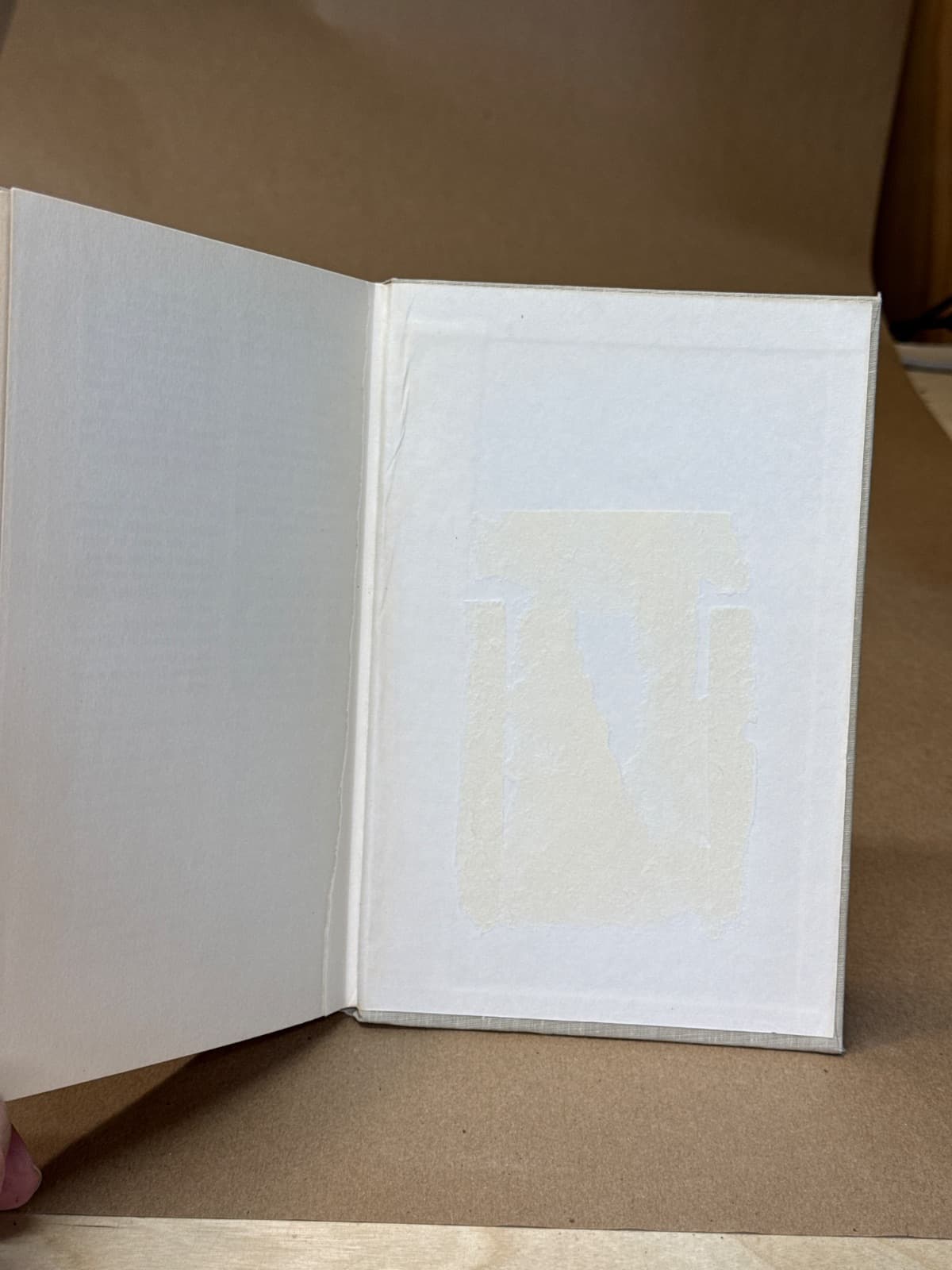Lonely Crusader: The Life of Florence Nightingale by Cecil Woodham-Smith - additional view