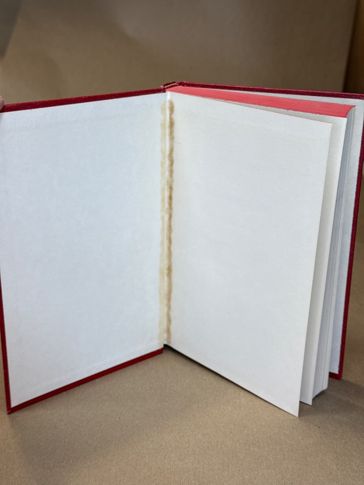 First Principles: or, The Elements of the Gospel, Analyzed and Discussed in Letters to an Inquirer by Isaac Errett - additional view