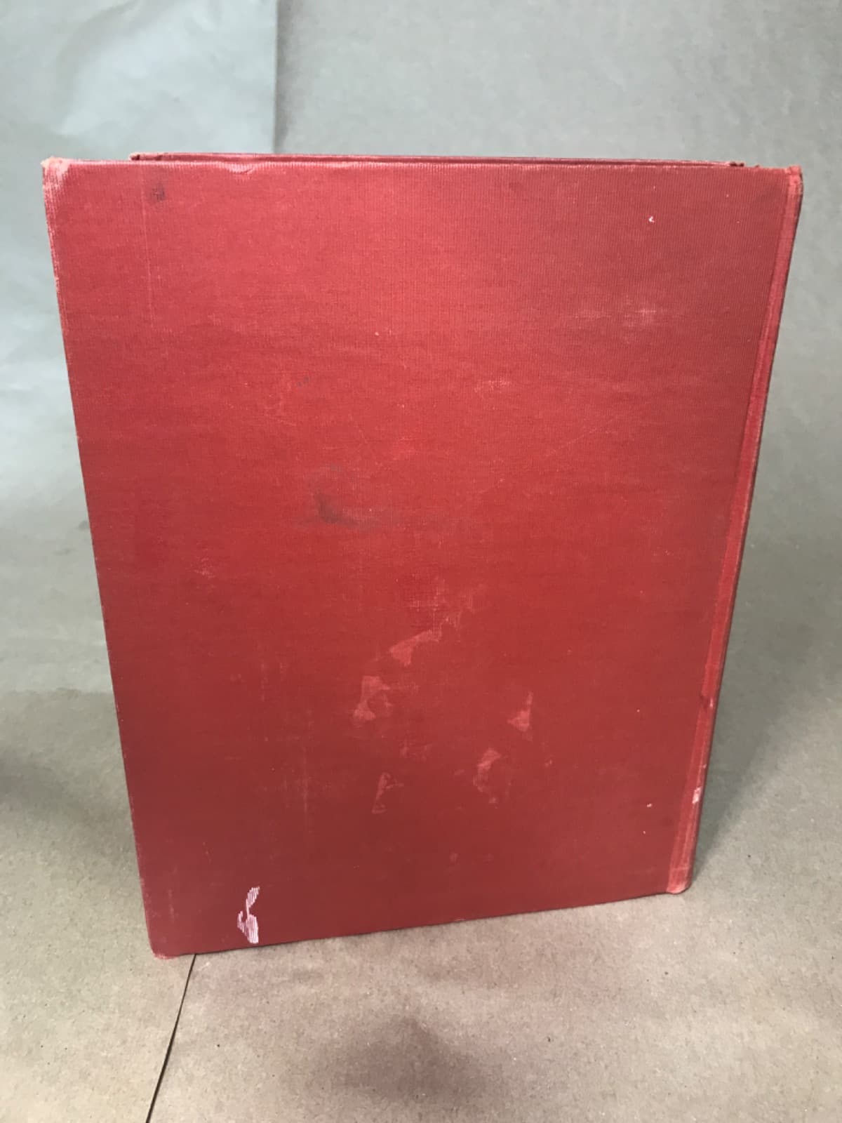 A Child's Book of Country Stories by Ada M. Skinner and Eleanor L. Skinner - additional view